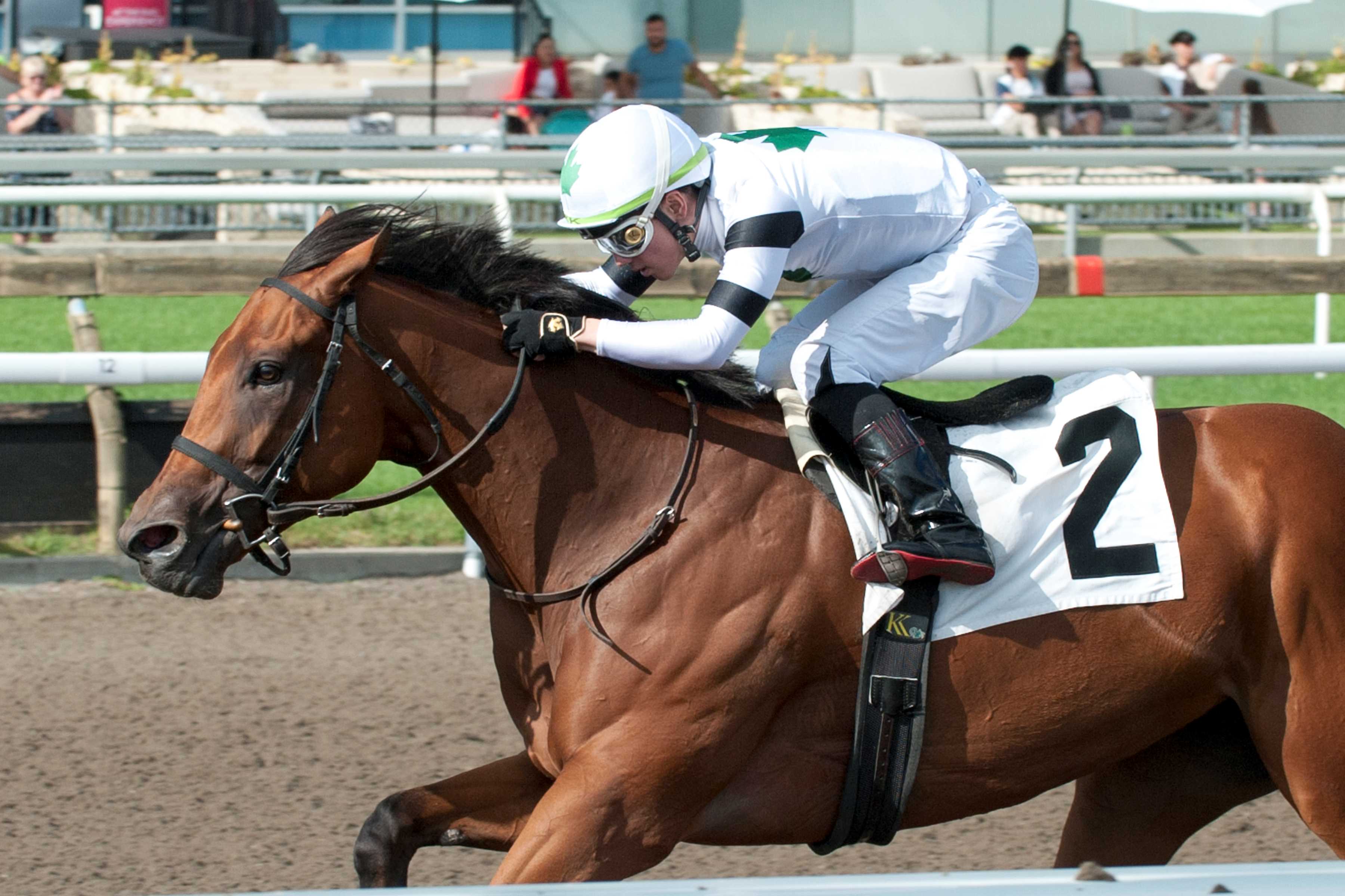 Rapid Test and jockey Kazushi Kimura winning the Elgin Stakes on August 27, 2023 at Woodbine (Michael Burns Photo)