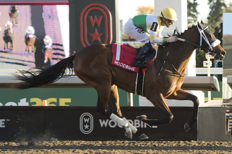 Piper's Gift and jockey Rafael Hernandez winning the Glorious Song Stakes on October 12, 2025 (Michael Burns Photo)