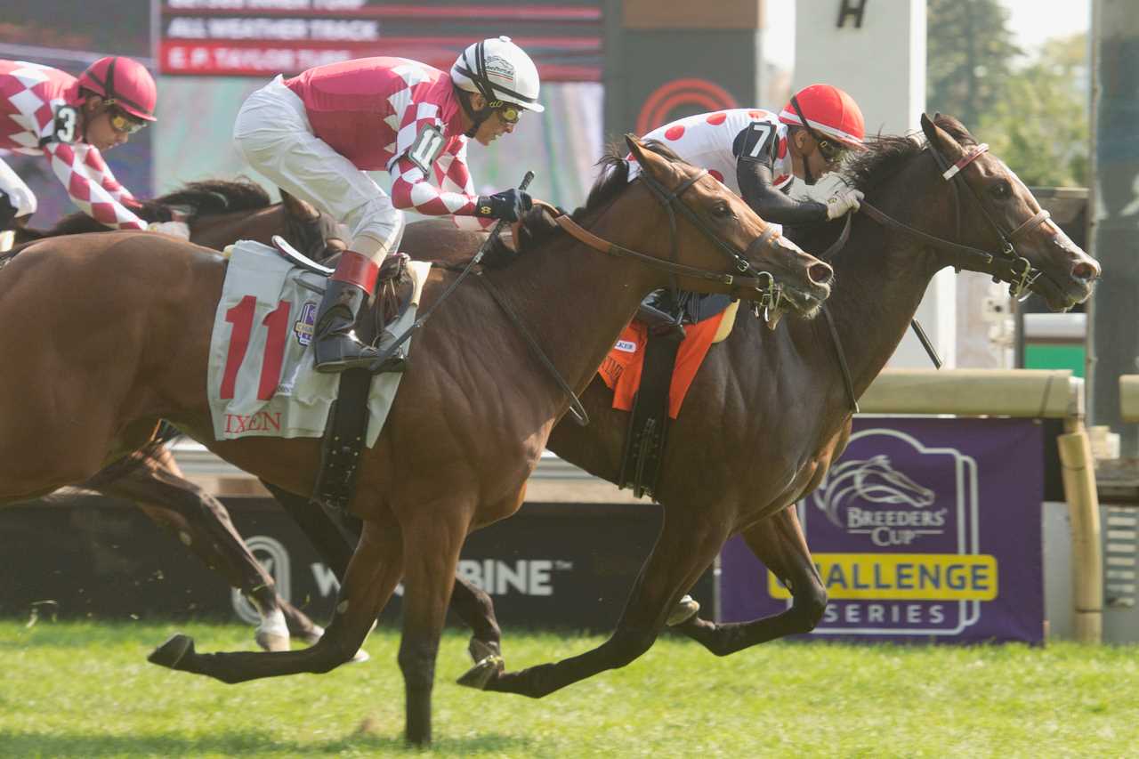 And One More Time and jockey Rafael Hernandez winning the Johnnie Walker Natalma Stakes (G1) on September 14, 2024 at Woodbine (Michael Burns Photo)