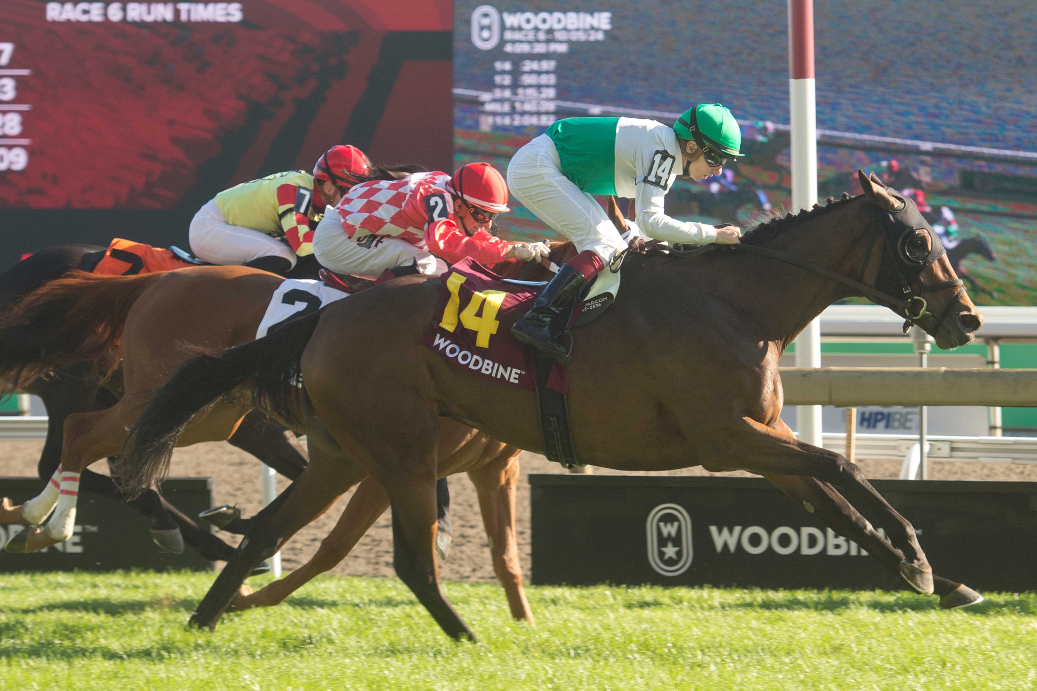 Truly Quality and jockey Vincent Cheminaud winning the HPIbet Singspiel Stakes (G3) on October 5, 2024 at Woodbine (Michael Burns Photo)