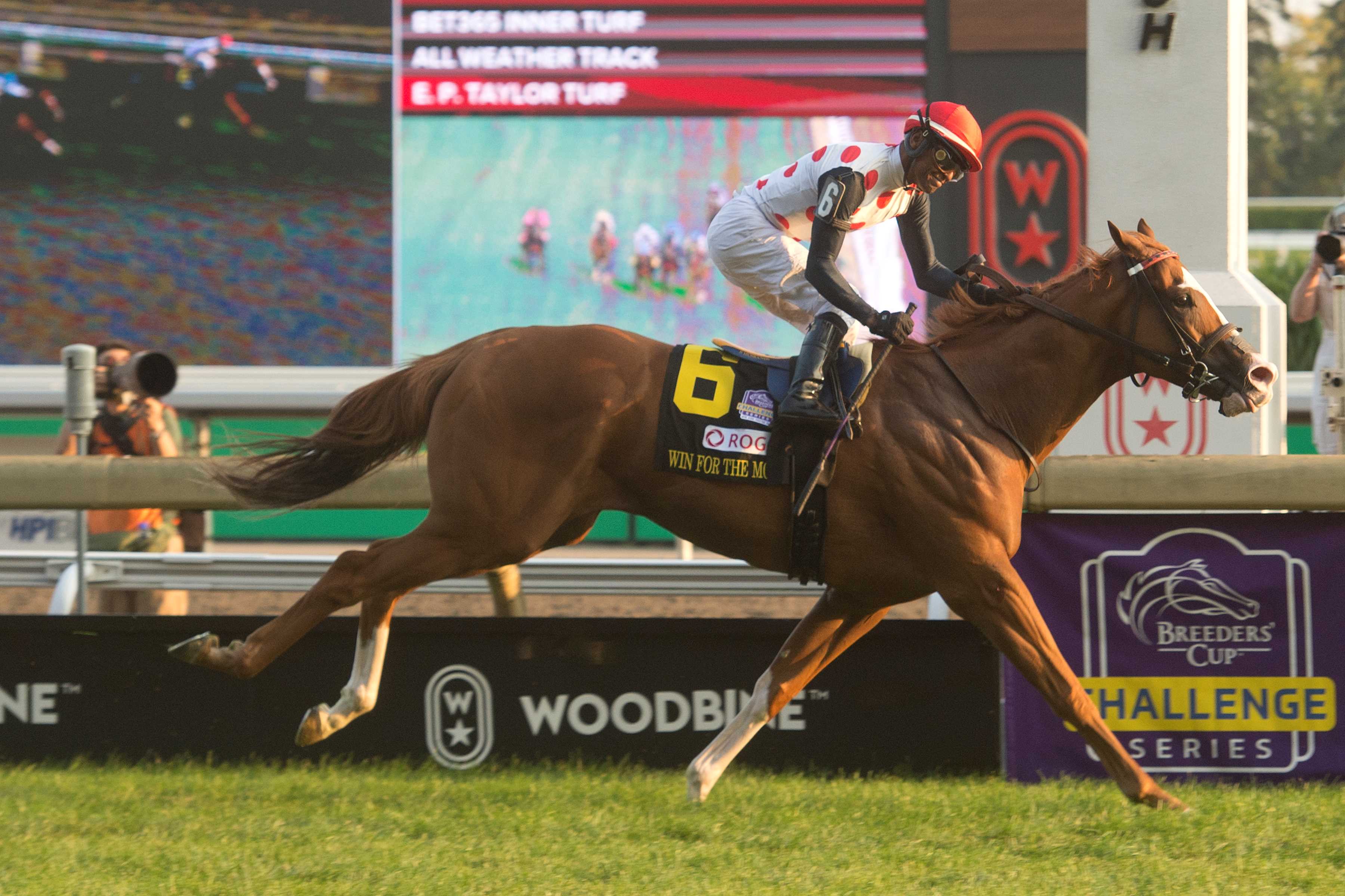 Win for the Money and jockey Patrick Husbands winning the Rogers Woodbine Mile (G1) on September 14, 2024 at Woodbine (Michael Burns Photo)