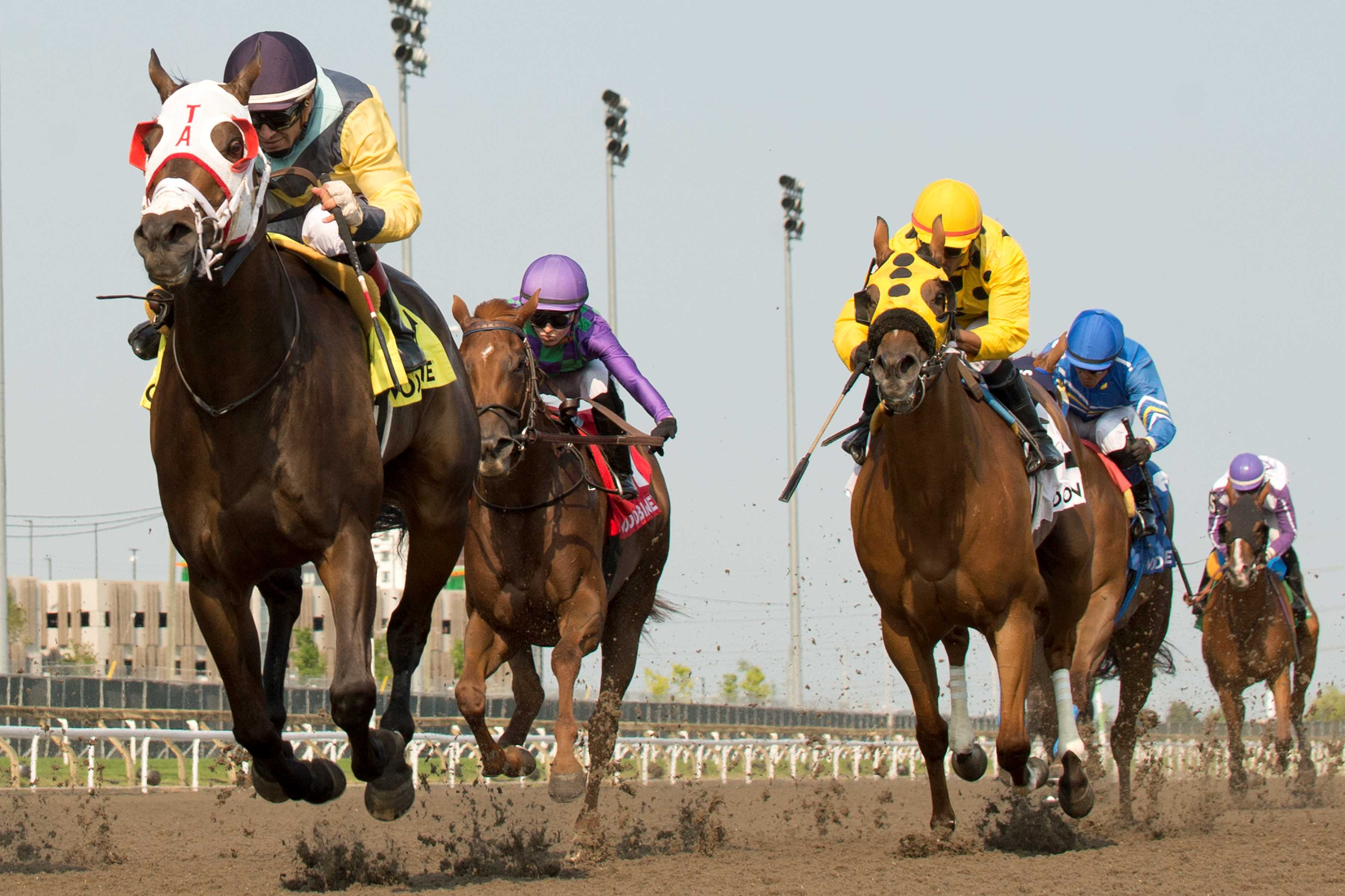 Pleasure's Gold and jockey Rafael Hernandez winning the Bellade Stakes on July 13, 2024 at Woodbine (Michael Burns Photo)