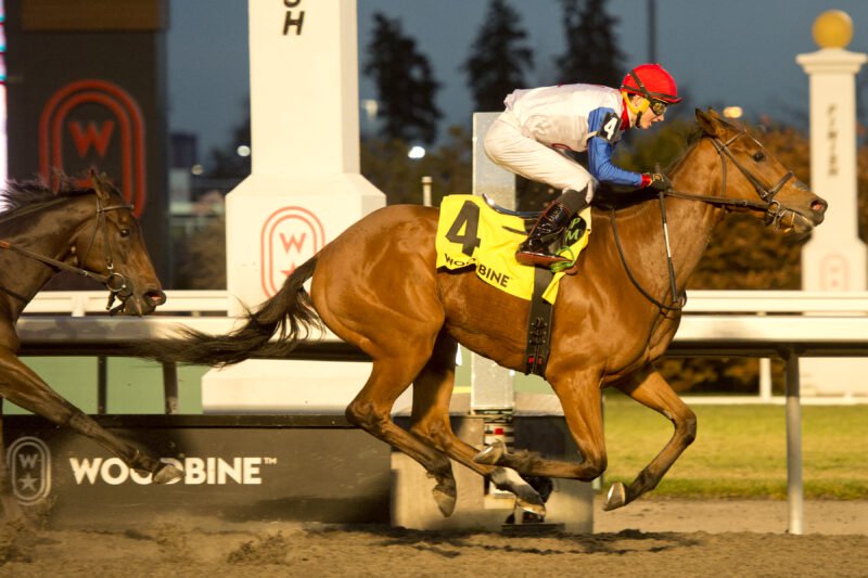 Ella It Is and jockey Pietro Moran winning the Ashbridges Bay Stakes on November 21, 2025 at Woodbine (Michael Burns Photo)
