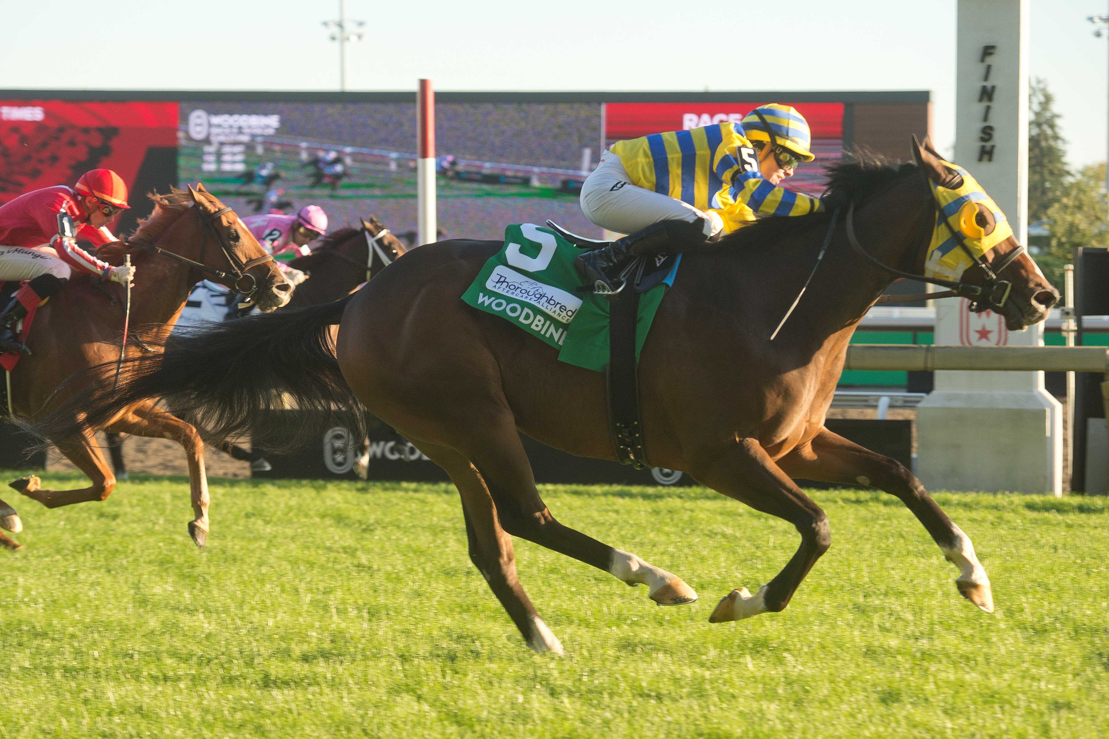 Patches O'Houlihan and jockey Sofia Vives winning the Nearctic Stakes (G2) on October 5, 2024 at Woodbine (Michael Burns Photo)