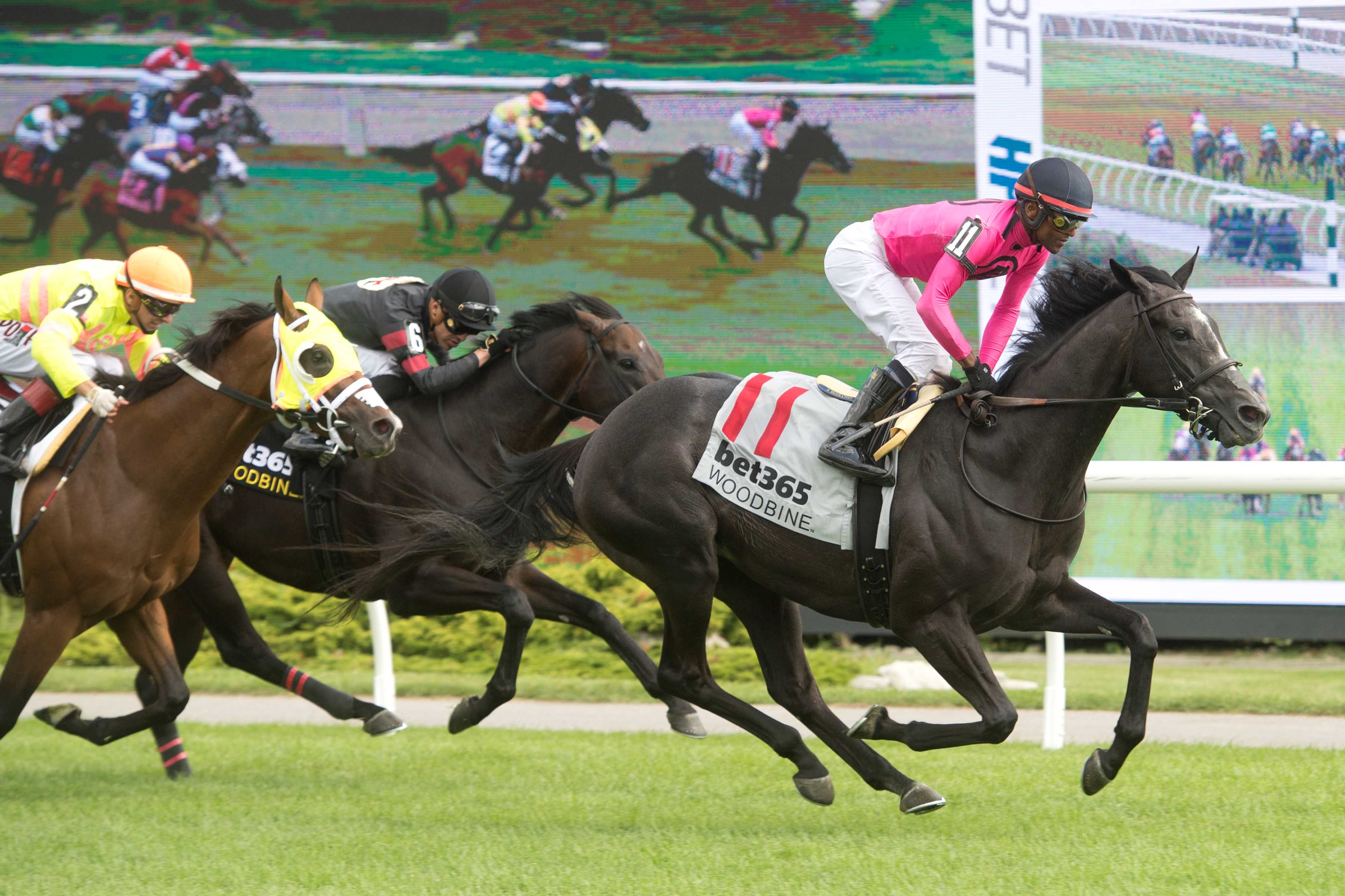 Swift Delivery and jockey Patrick Husbands winning Race 7 on July 19, 2024 (Michael Burns Photo)