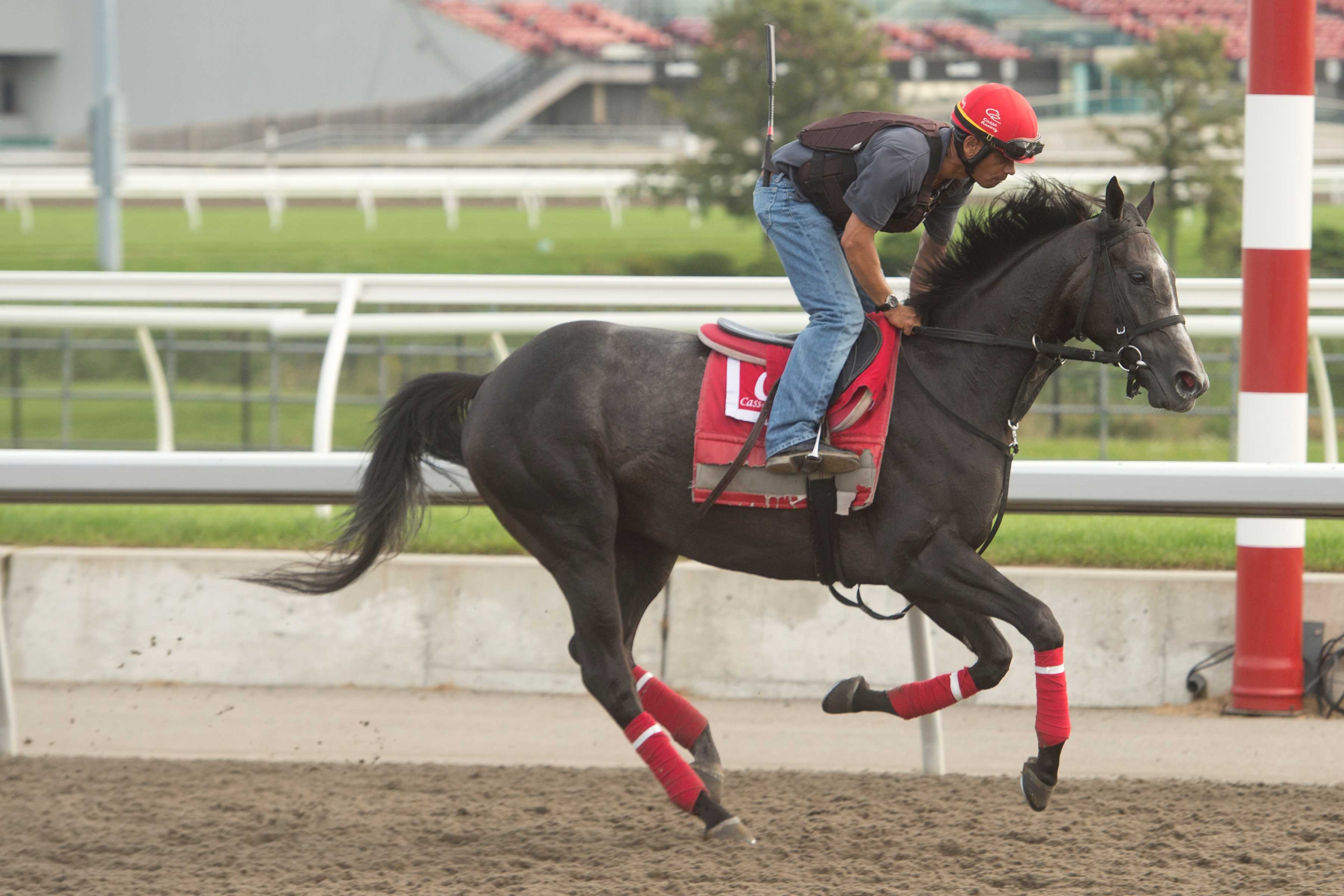 Swift Delivery training at Woodbine (Michael Burns Photo)