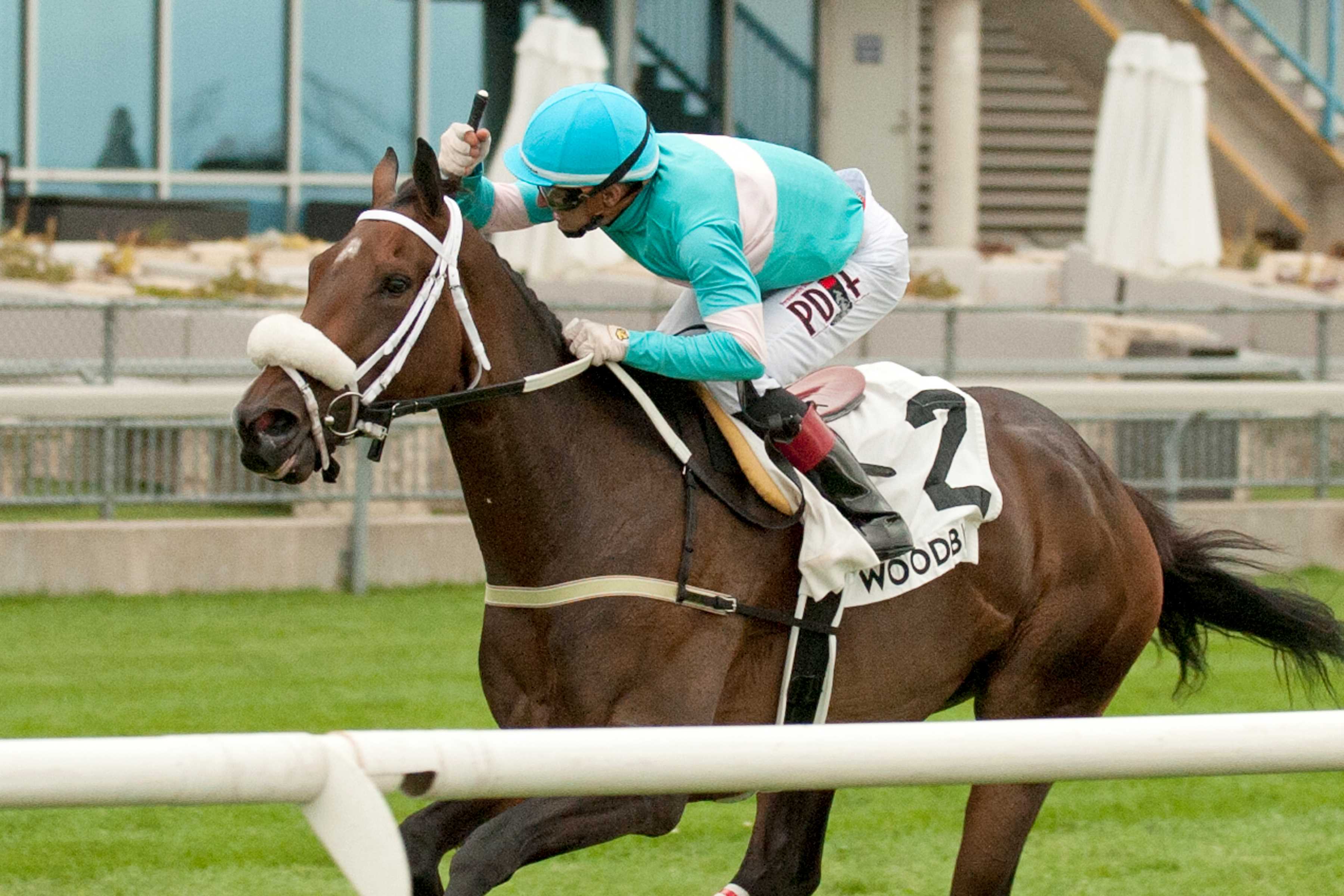 Moira and jockey Rafael Hernandez winning the Canadian Stakes (G2) on September 9, 2023 at Woodbine (Michael Burns Photo)