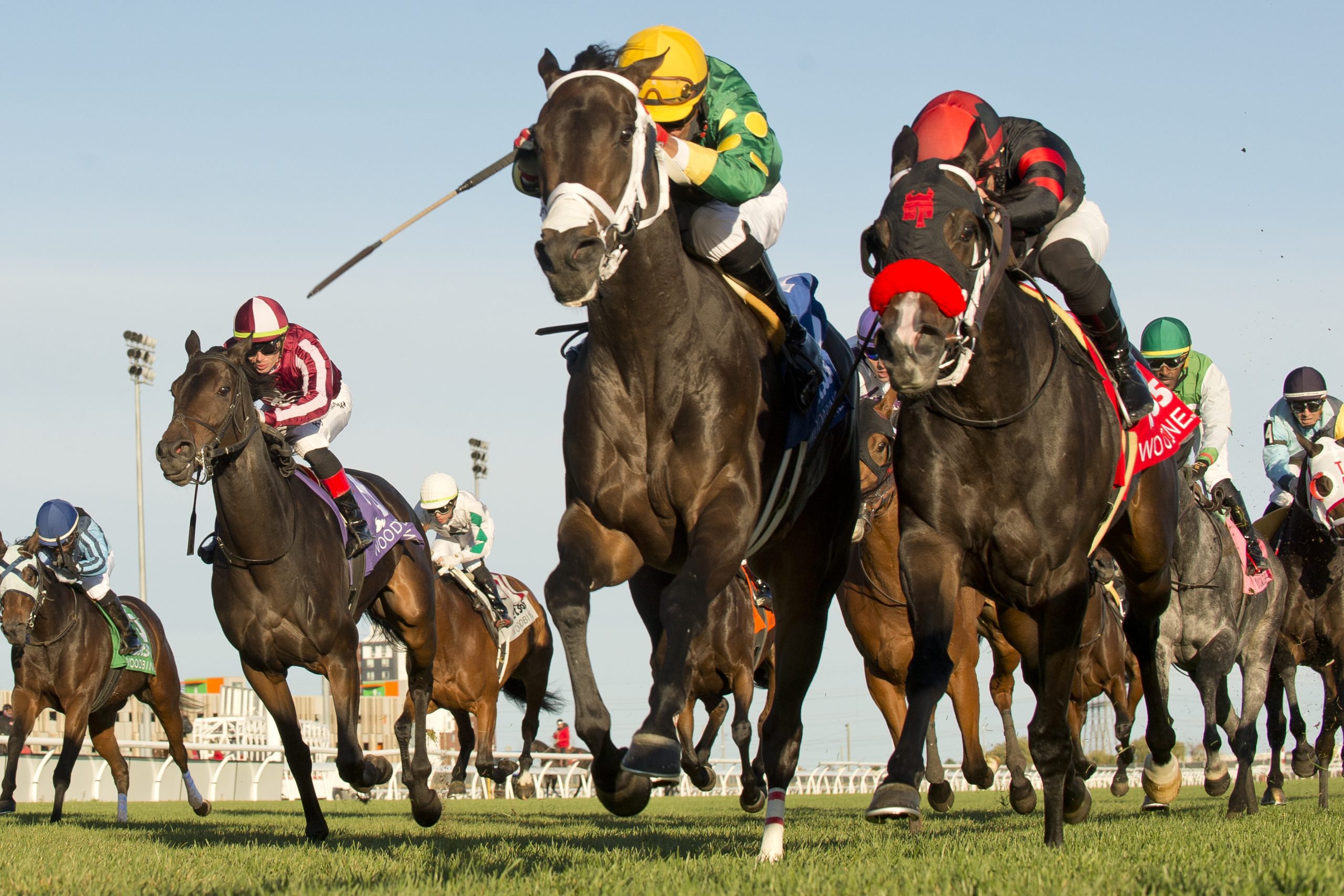 Weekend Notables & Quotables (October 21-22) - Woodbine Racetrack