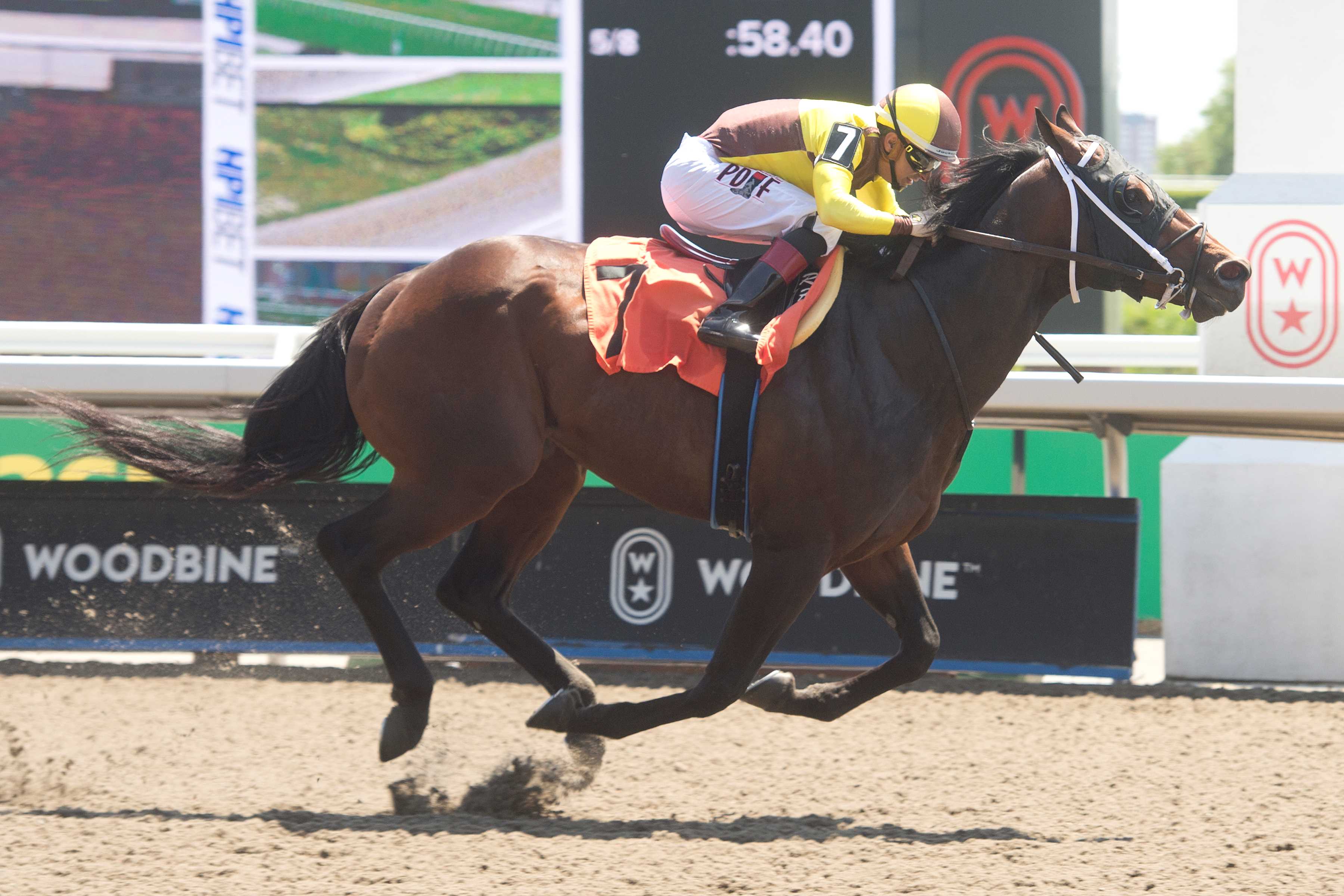 Gem Quality and jockey Rafael Hernandez winning Race 2 on June 16, 2024 at Woodbine (Michael Burns Photo)