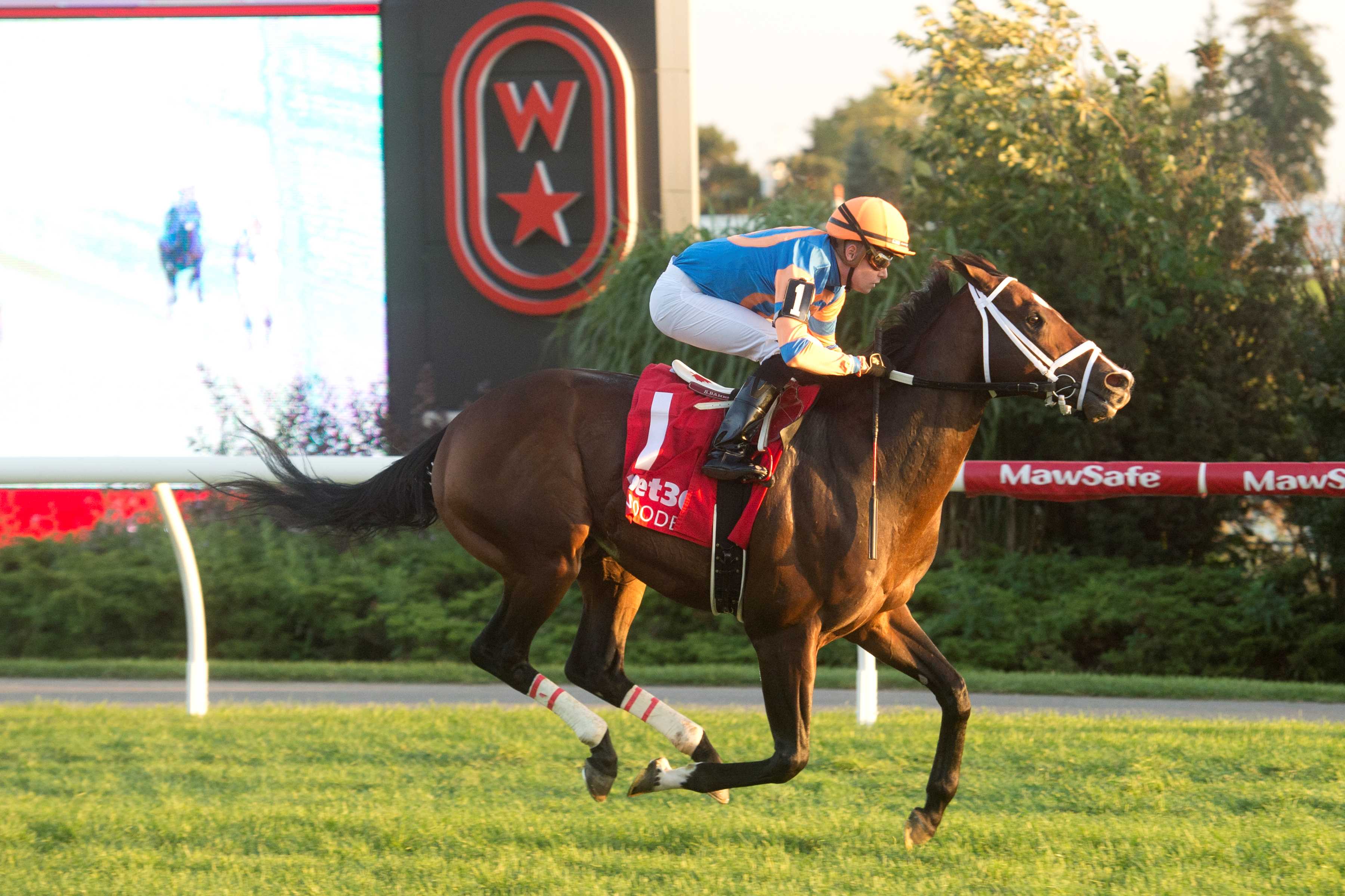 Never Surprised and jockey Austin Adams winning Race 10 on October 6, 2024 at Woodbine (Michael Burns Photo)