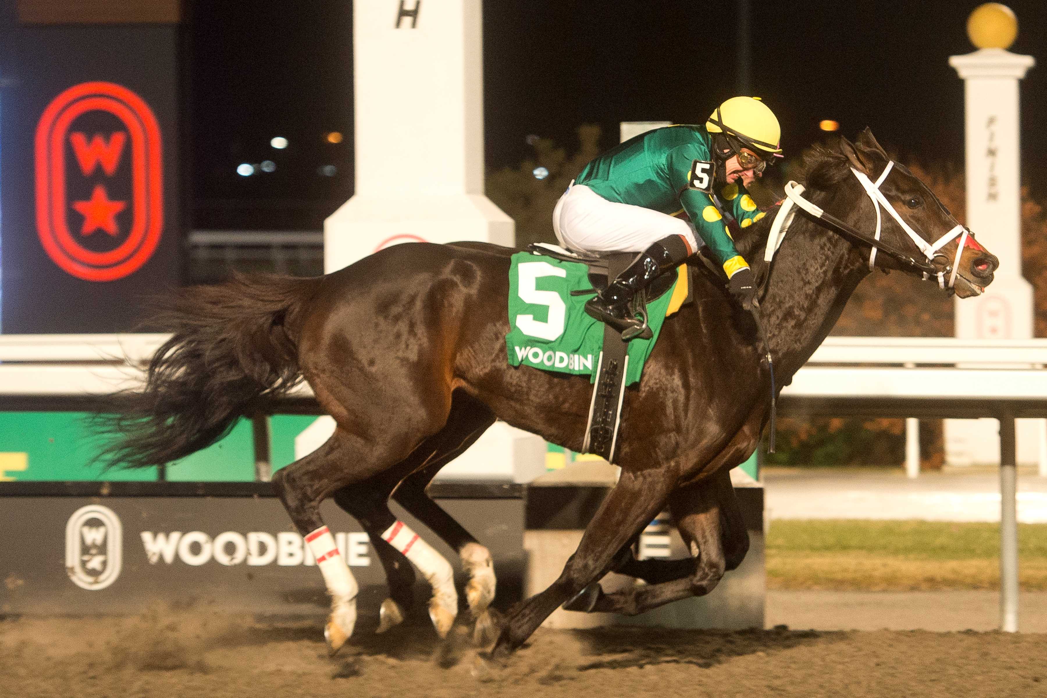 Fashionably Fab and jockey David Moran winning the La Prevoyante Stakes on December 14, 2024 at Woodbine (Michael Burns Photo)