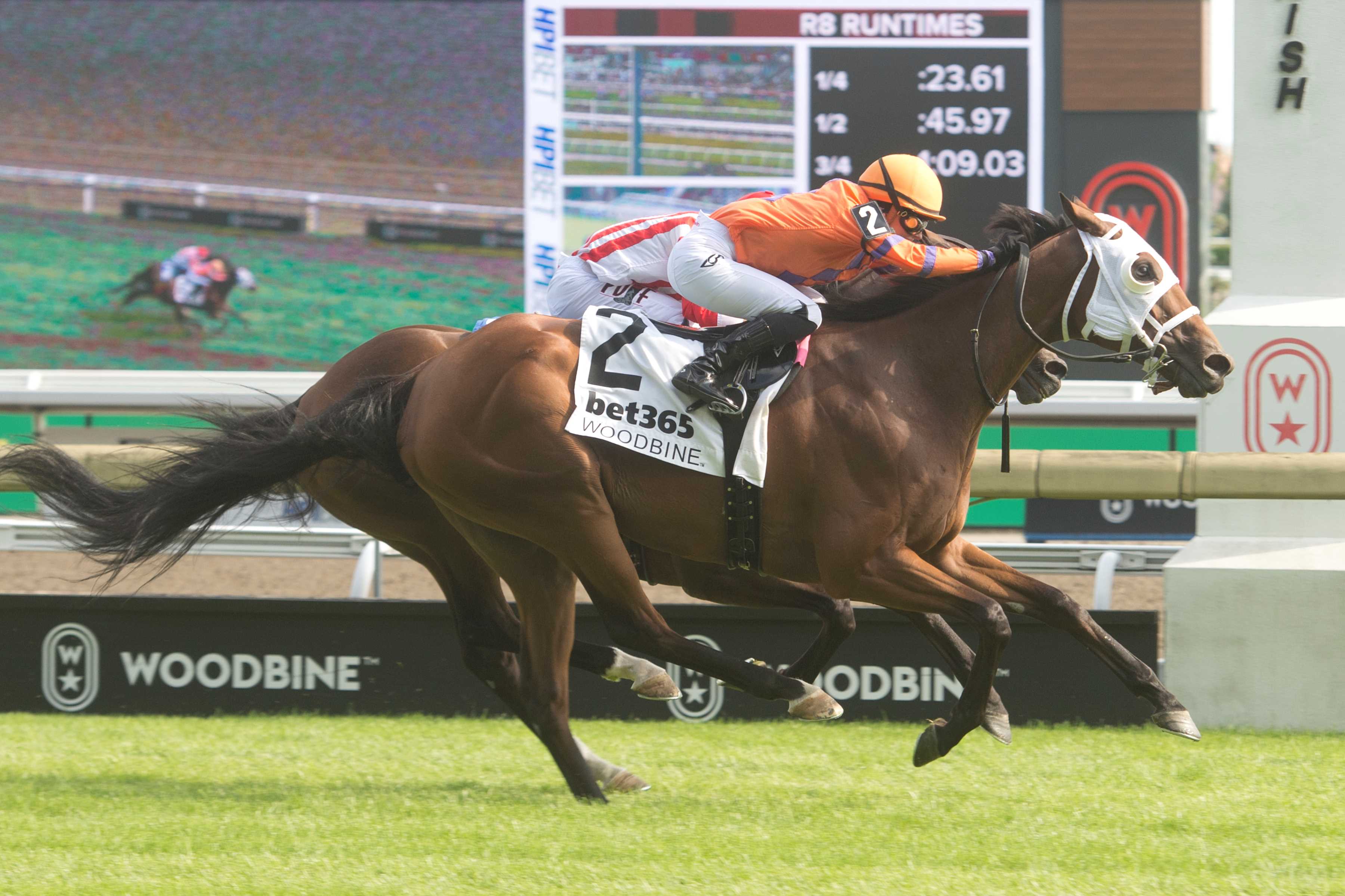 Cruden Bay and jockey Sofia Vives winning the bet365 Connaught Cup (G2) on July 20, 2024 at Woodbine (Michael Burns Photo)