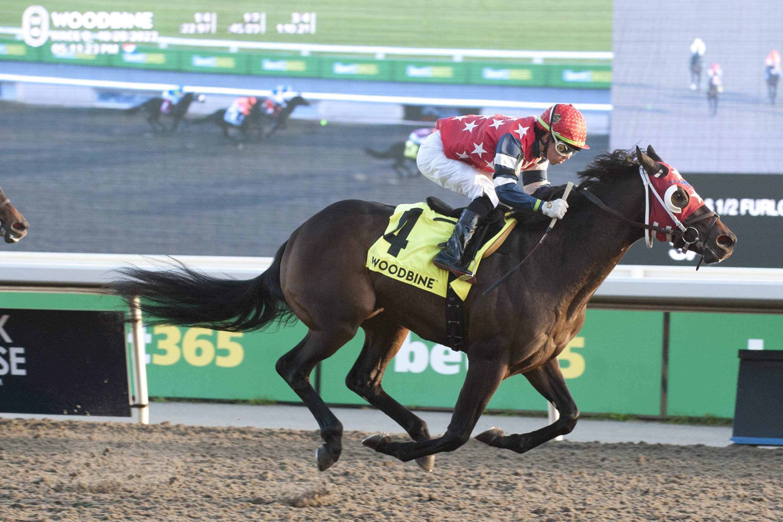No More Options rallies to win Frost King - Woodbine Racetrack