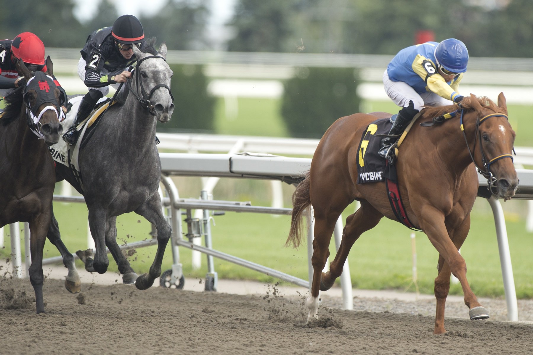 Omar Moreno winning the Thunder Bay Stakes with Foolish Games on July 30, 2023 at Woodbine (Michael Burns Photo)