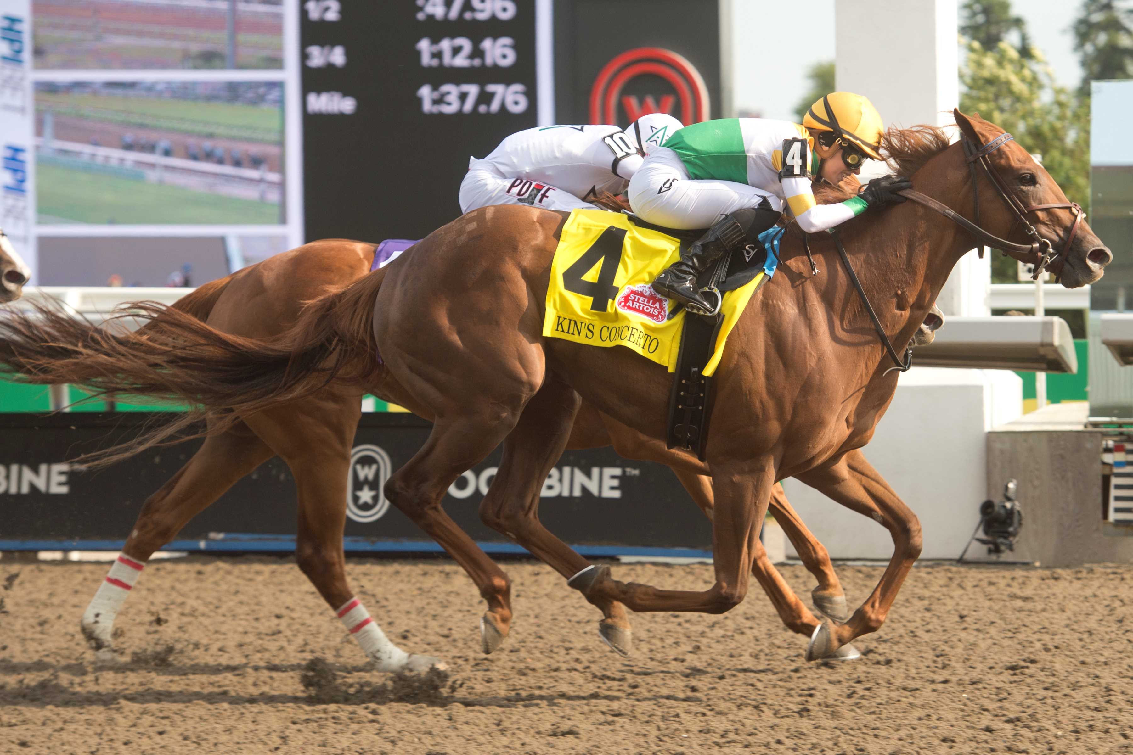 Kin's Concerto and jockey Sofia Vives winning the Woodbine Oaks presented by Stella Artois on June 20, 2024 at Woodbine (Michael Burns Photo)