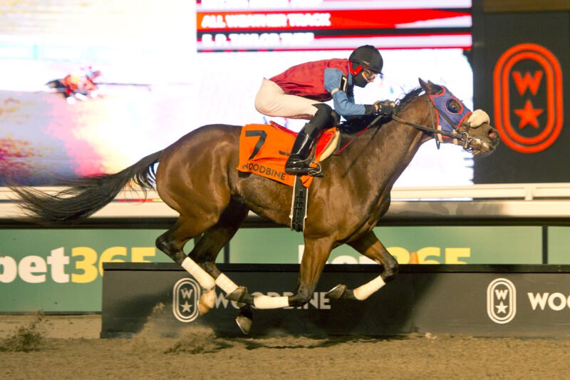 Fire and Wine and jockey Slade Jones winning the Coronation Futurity Stakes on November 29, 2025 at Woodbine (Michael Burns Photo)