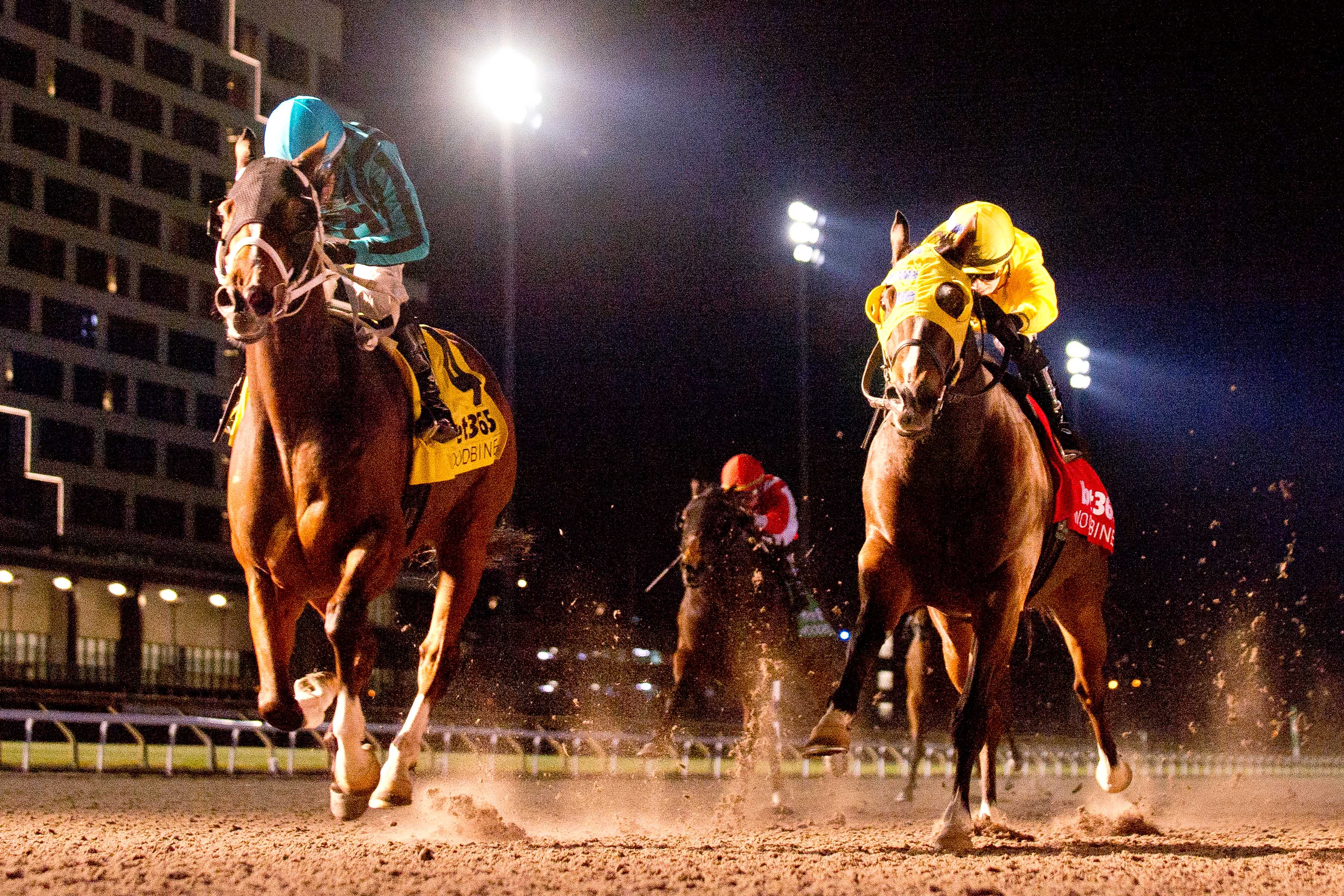 Nobals and jockey Gerardo Corrales winning the Kennedy Road Stakes (G2) on November 16, 2024 at Woodbine (Michael Burns Photo)