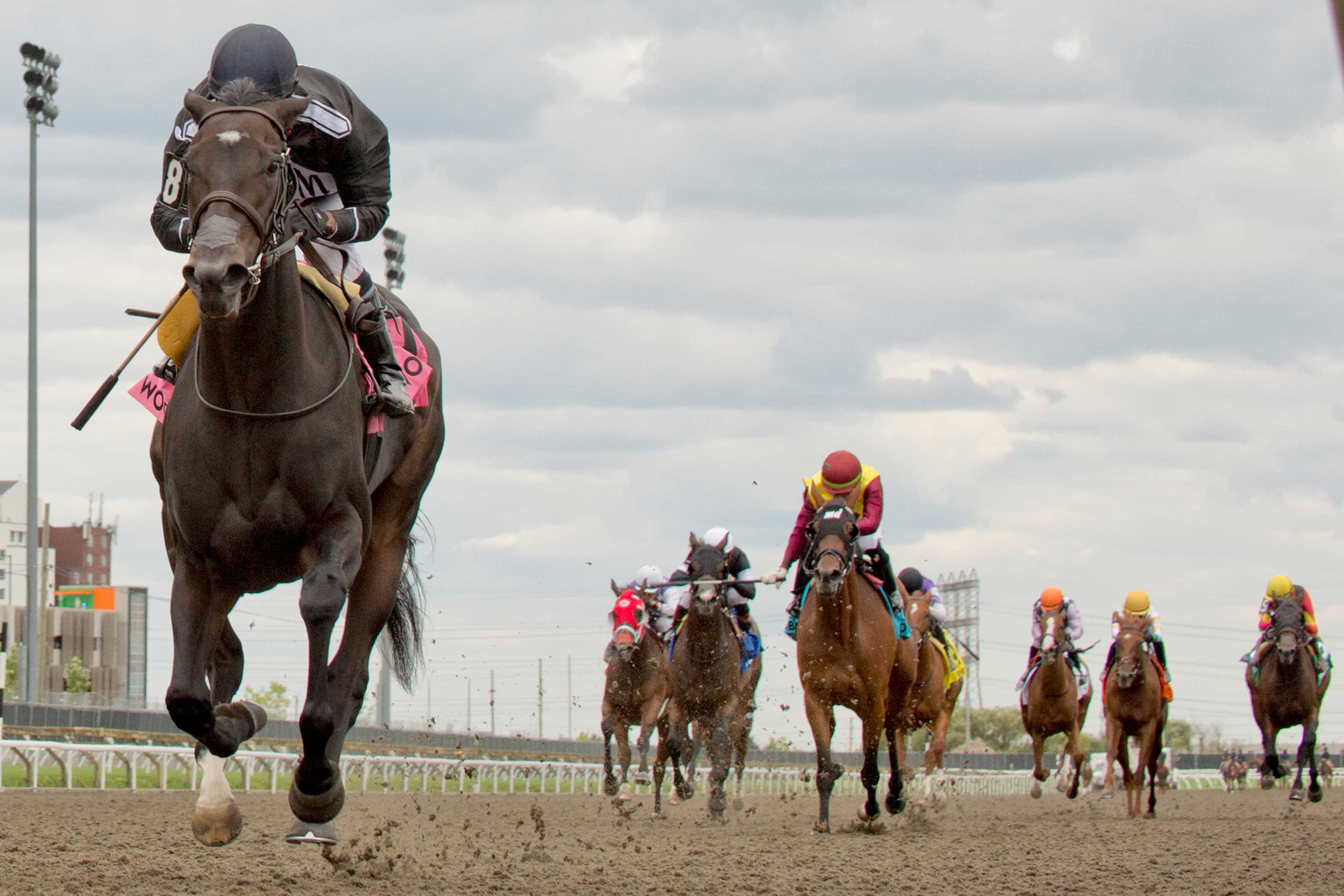 Stormcast and jockey Patrick Husbands winning the Bison City Stakes on August 10, 2024 at Woodbine (Michael Burns Photo)