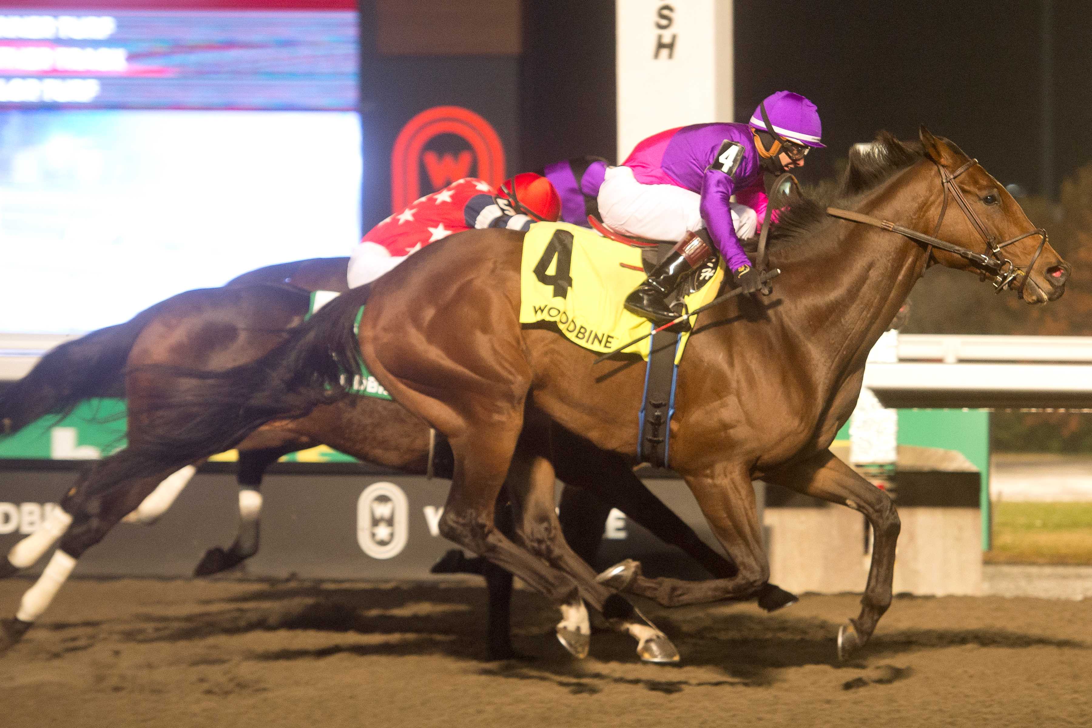 Ron's Gizmo and jockey Rafael Hernandez winning the Steady Growth Stakes on December 15, 2024 at Woodbine (Michael Burns Photo)