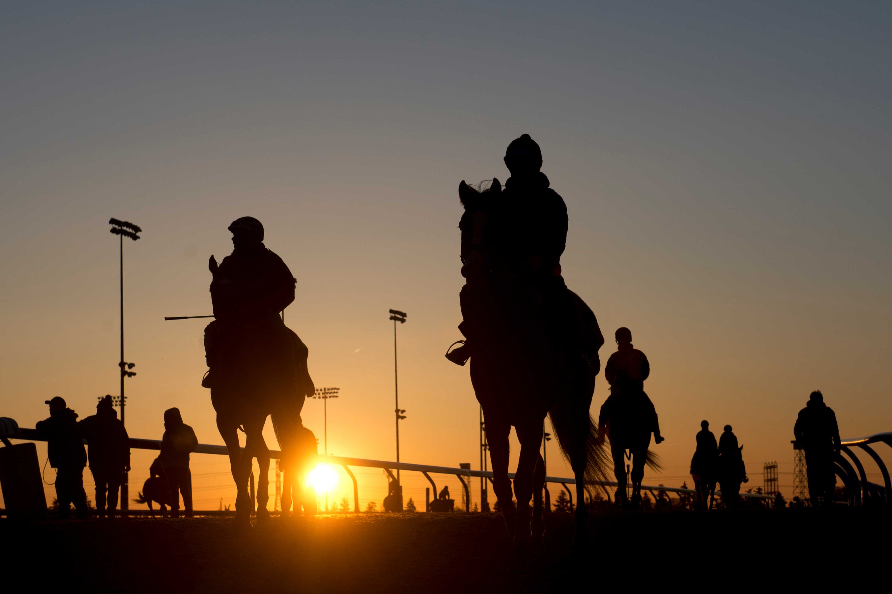 The sun rises during morning training at Woodbine Racetrack April 2024 (Michael Burns Photo)