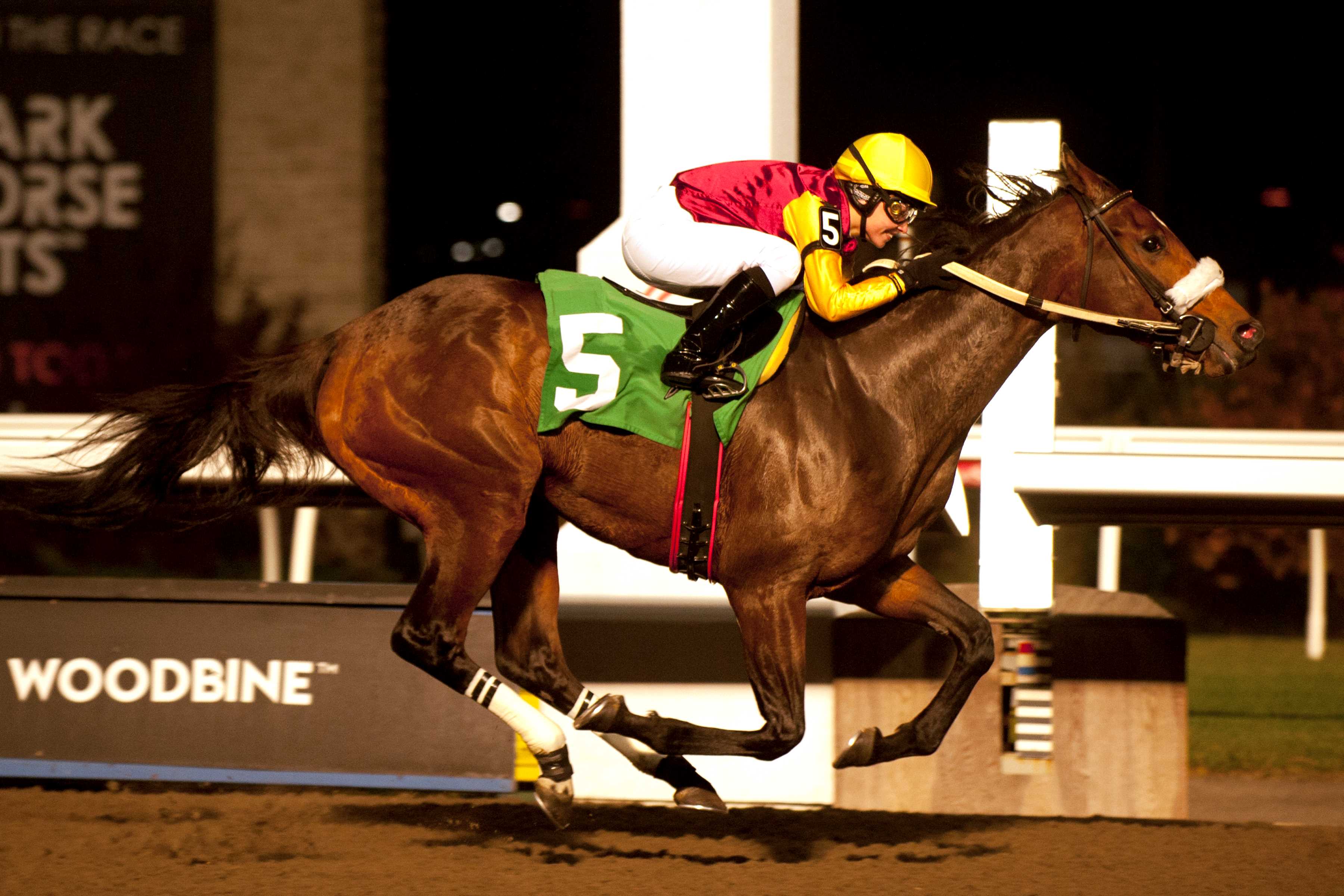 Sofia Vives winning her first race with Bodacious Miss in Race 7 on November 3, 2022 at Woodbine Racetrack (Michael Burns Photo)