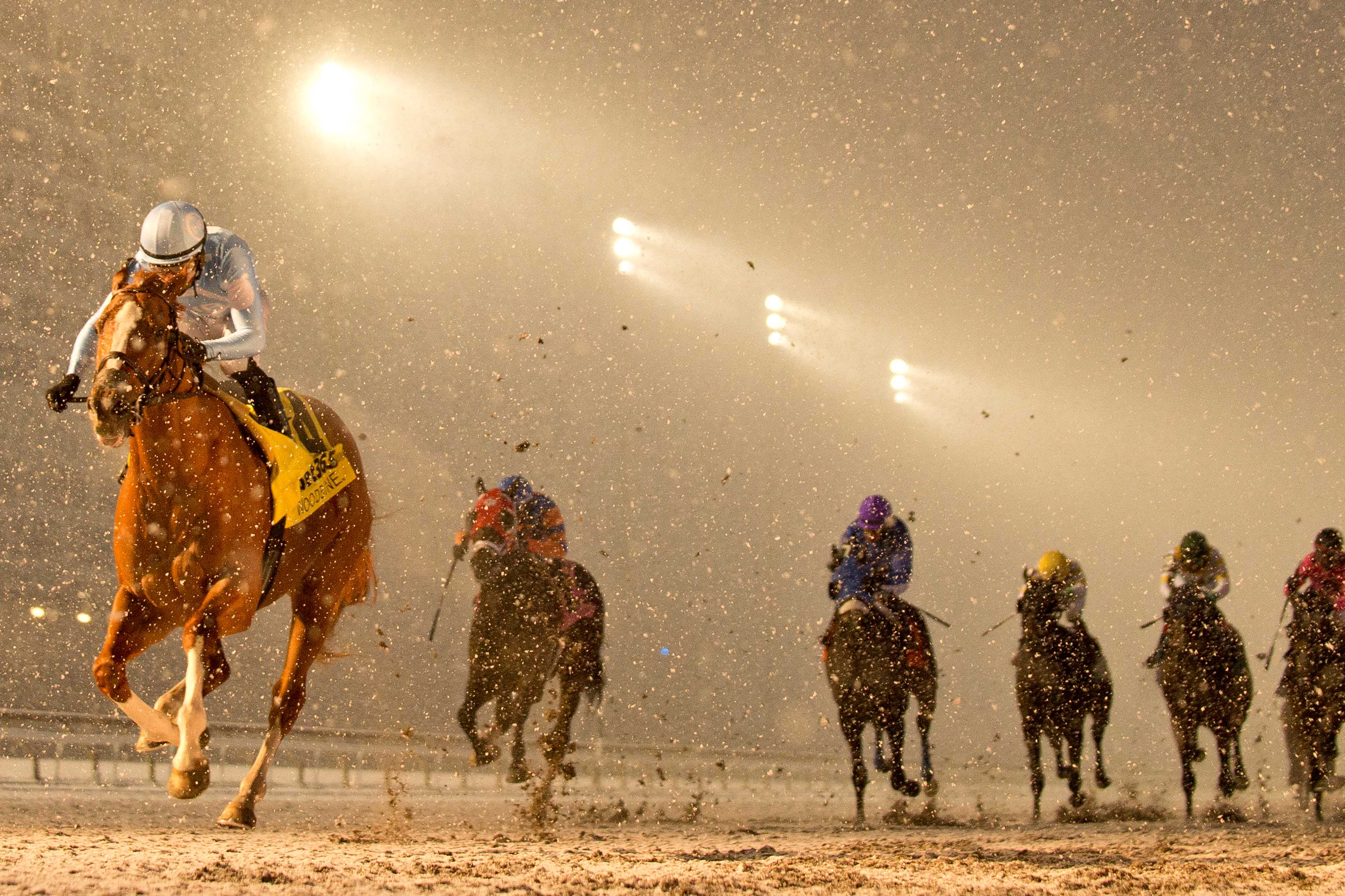 Get Smokin and jockey Sahin Civaci winning the Valedictory Stakes (G3) on December 7, 2024 at Woodbine (Michael Burns Photo)