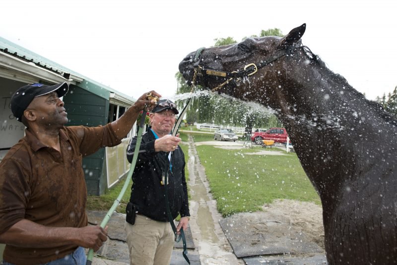 Cool Catomine getting a bath from groom Wesley Henry and trainer John Ross on the Woodbine backstretch in August 2017 (Michael Burns Photo)