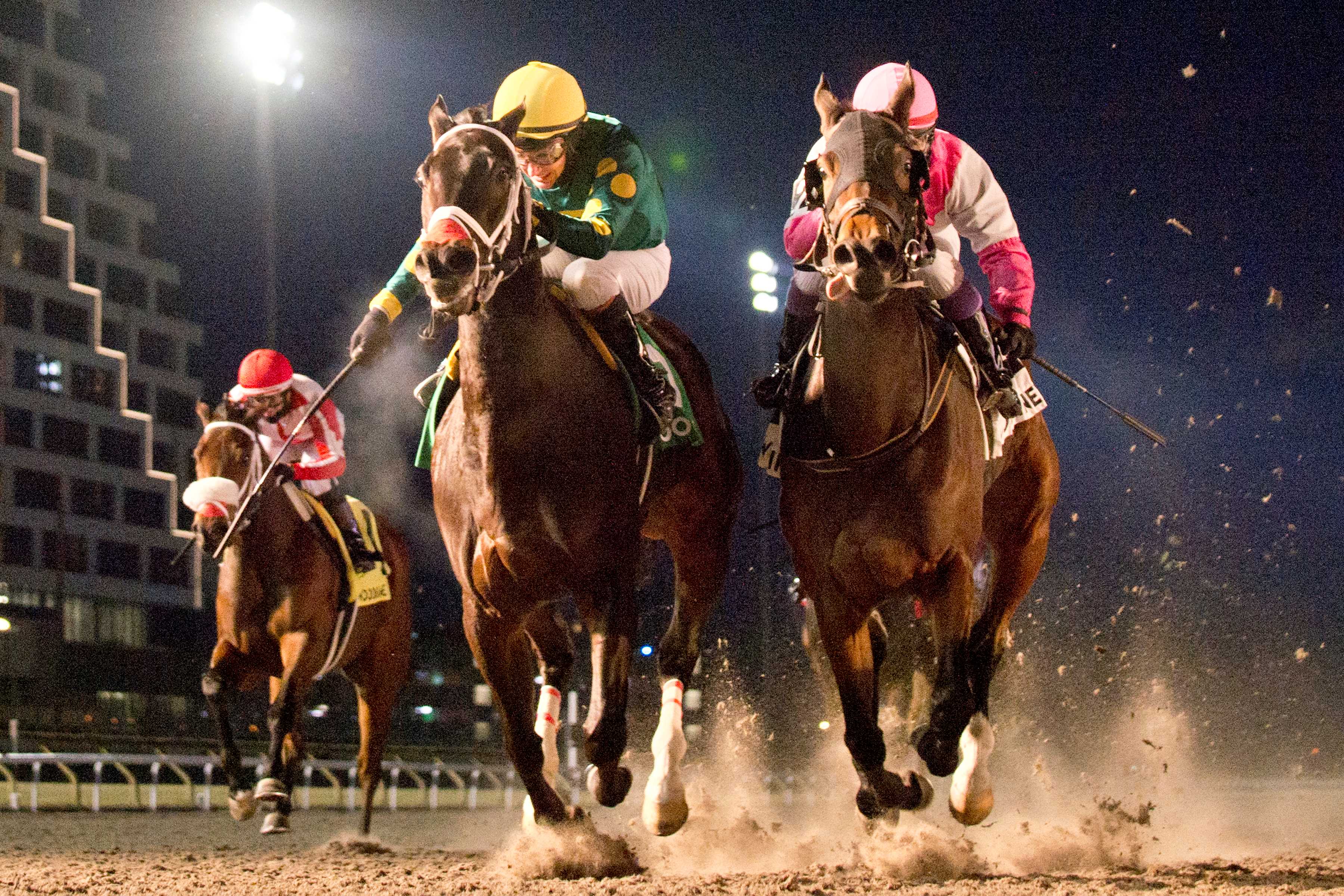 Fashionably Fab and jockey David Moran winning the La Prevoyante Stakes on December 14, 2024 at Woodbine (Michael Burns Photo)