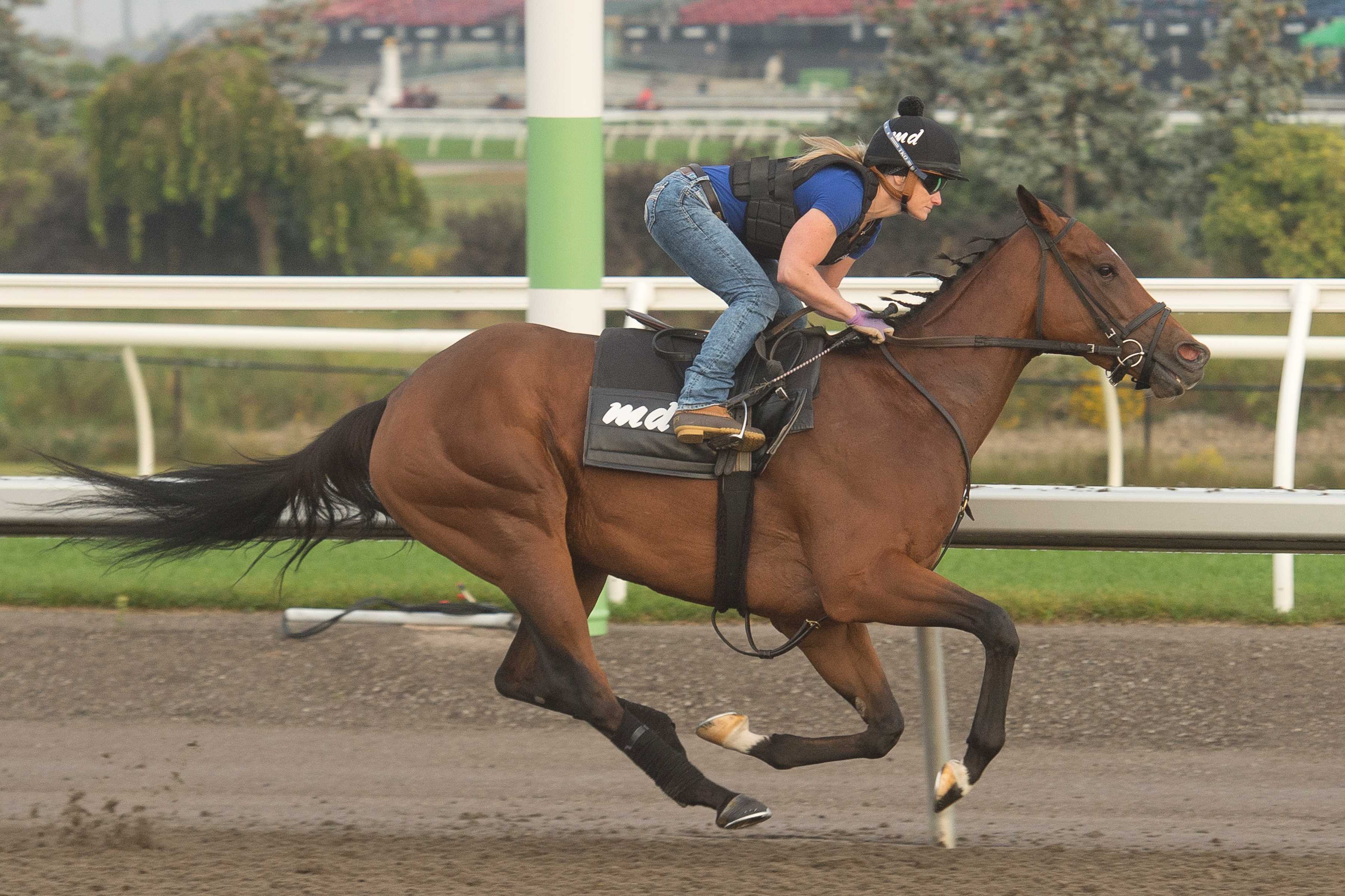 Hurricane Clair training at Woodbine (Michael Burns Photo)