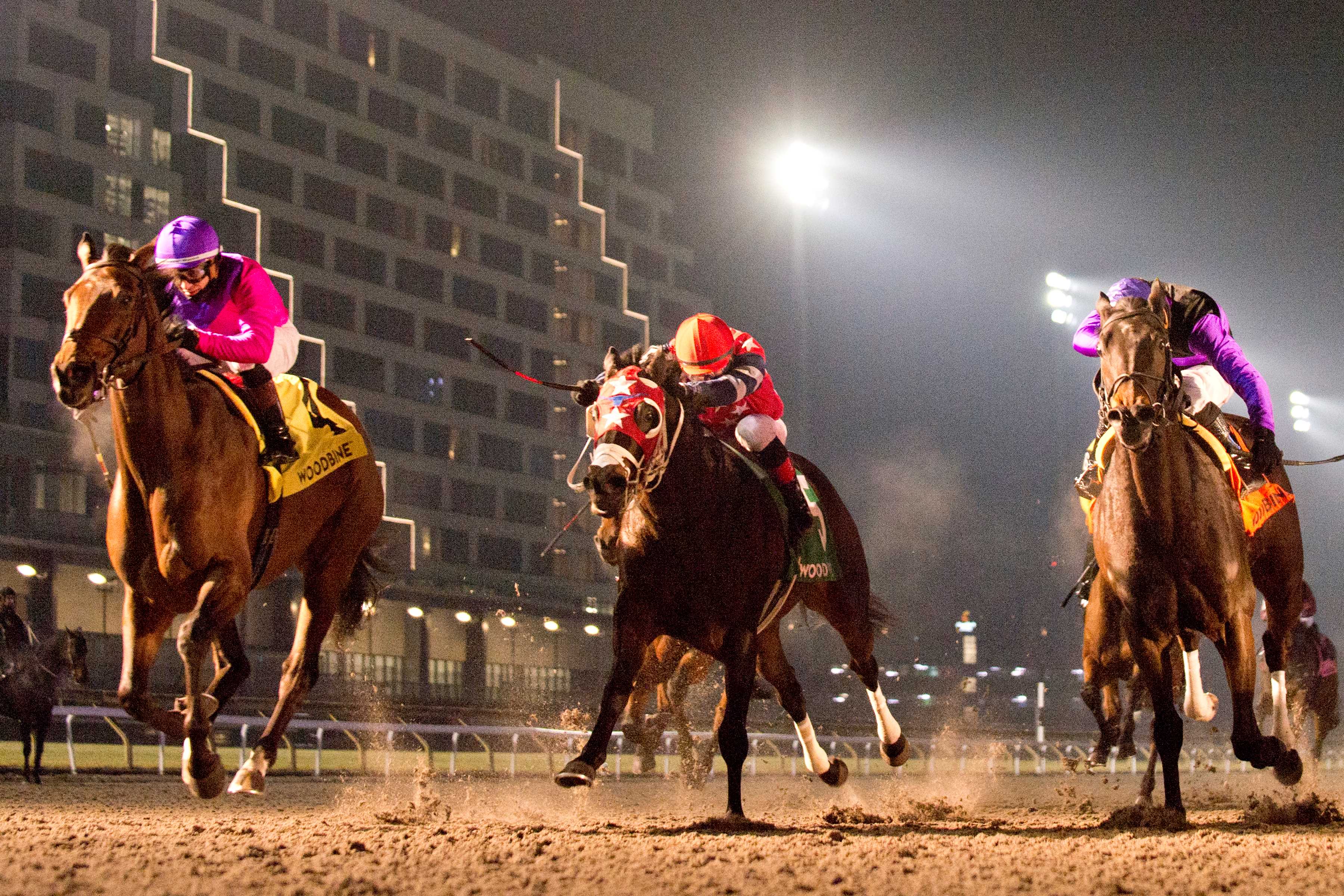 Ron's Gizmo and jockey Rafael Hernandez winning the Steady Growth Stakes on December 15, 2024 at Woodbine (Michael Burns Photo)