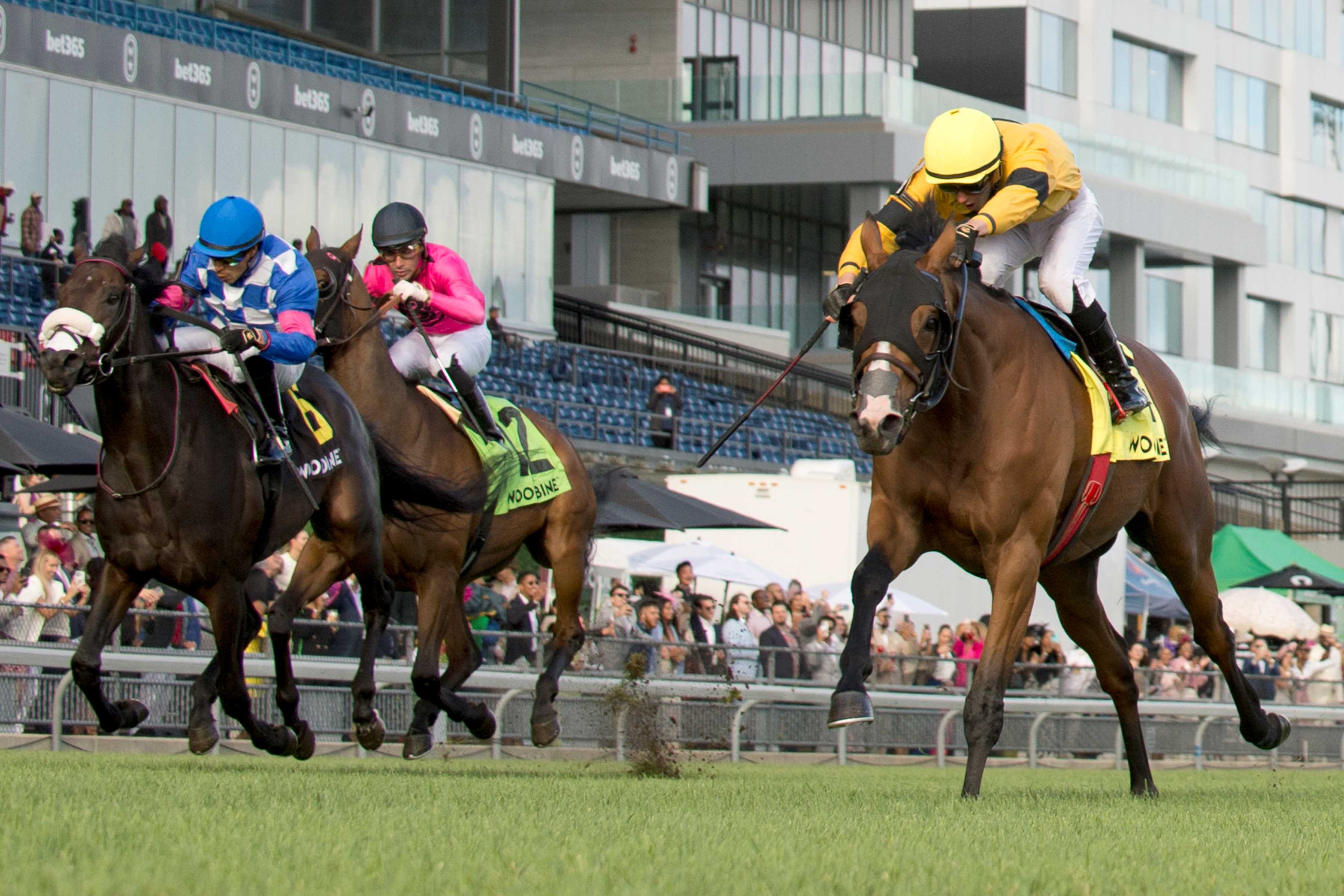 Lac Macaza and jockey Pietro Moran winning the Niagara Stakes Presented by The Greenwood Stakes on September 7, 2024 at Woodbine (Michael Burns Photo)