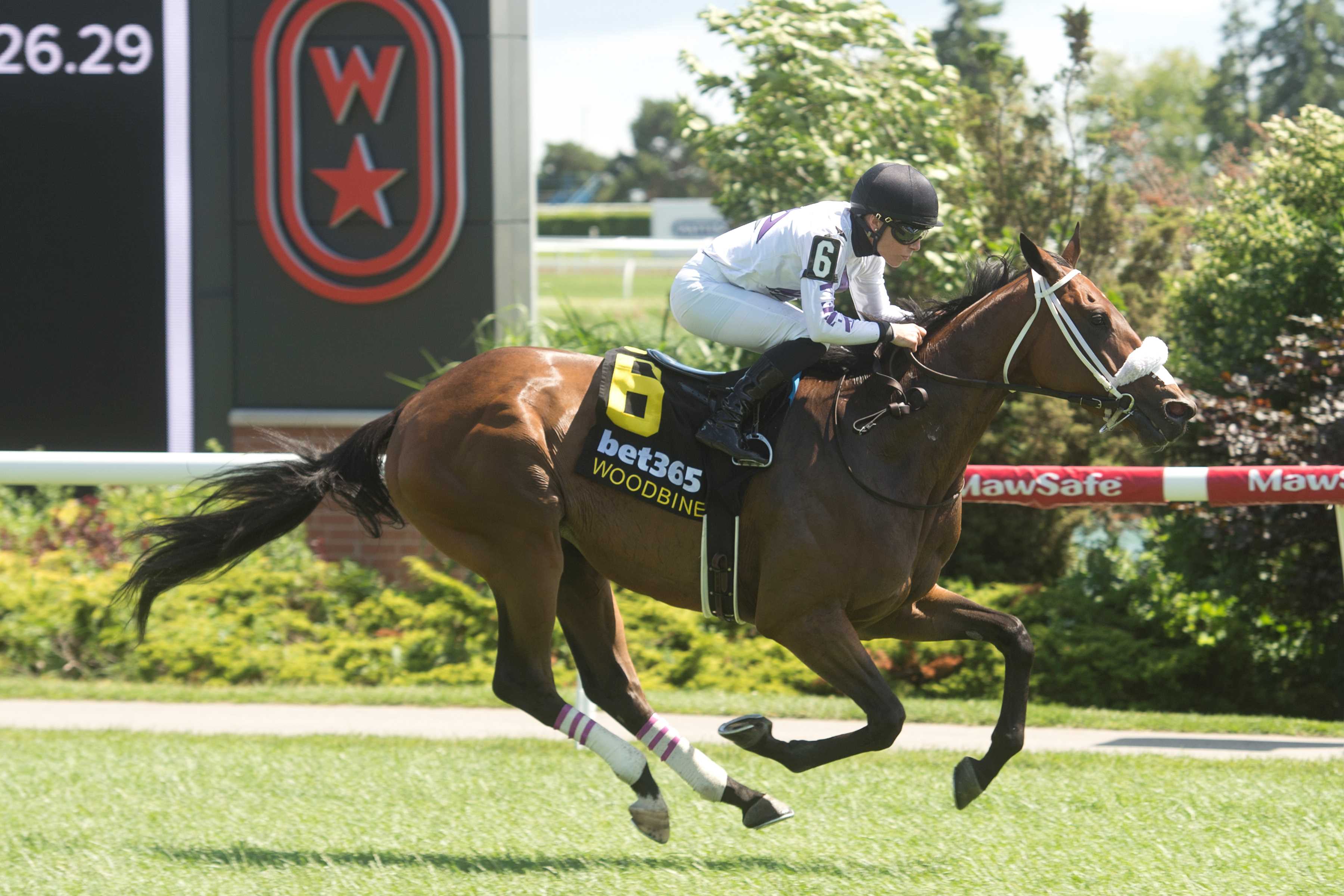 Mighty Sea and jockey Emma-Jayne Wilson winning Race 4 on June 23, 2024 at Woodbine (Michael Burns Photo)