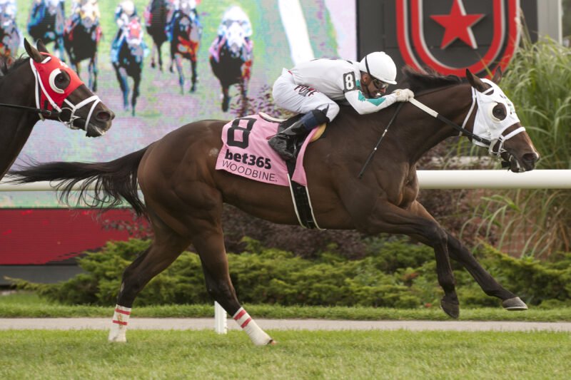 Zabo and jockey Rafael Hernandez winning Race 6 on October 25, 2025 at Woodbine (Michael Burns Photo)