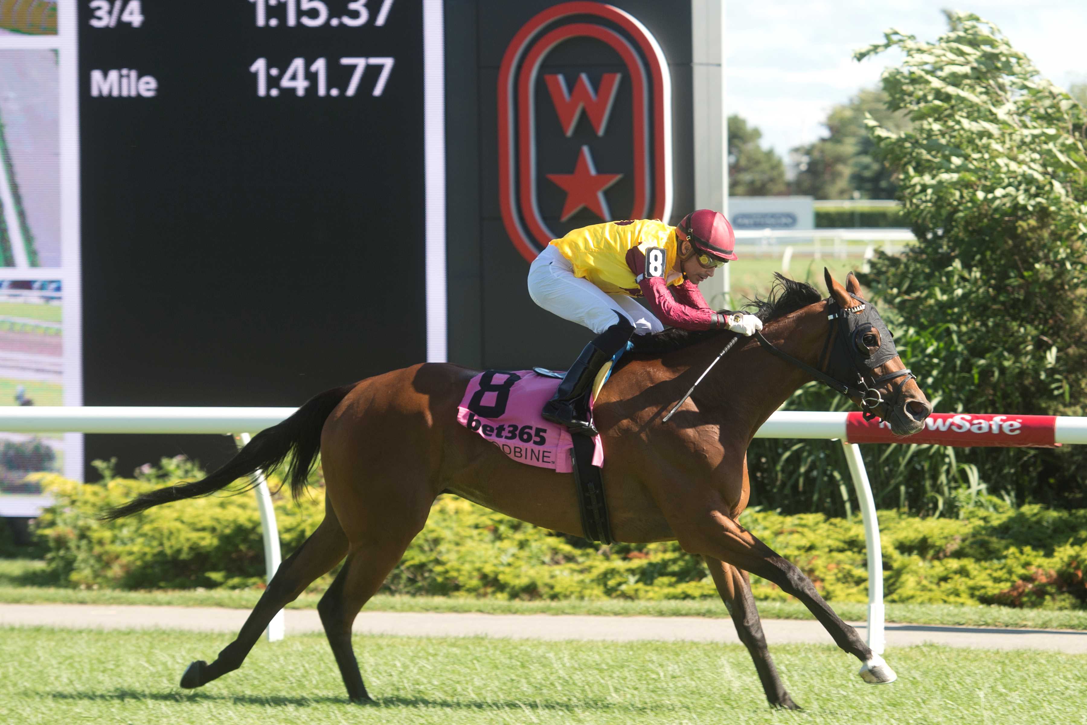 Hurricane Clair and jockey Sahin Civaci winning Race 7 on June 23, 2024 at Woodbine (Michael Burns Photo)