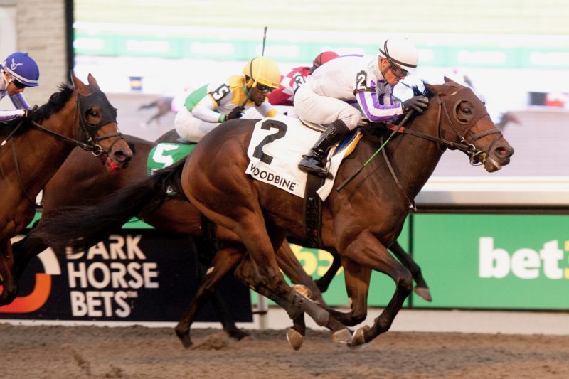 Two Ghosts and jockey Justin Stein winning the Grey Stakes on November 4, 2023 at Woodbine (Michael Burns Photo)