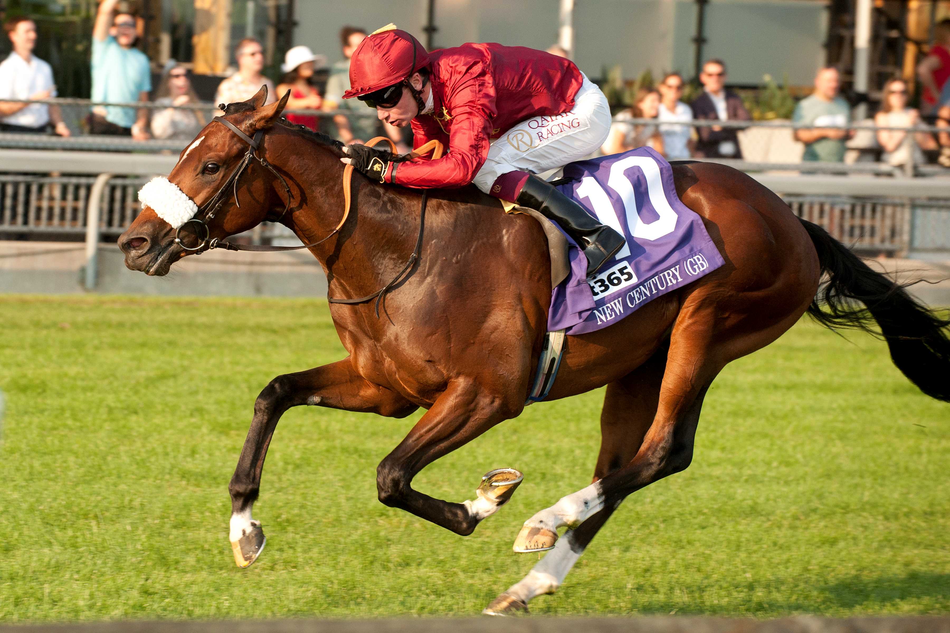 New Century (GB) and jockey Oisin Murphy winning the bet365 Summer Stakes (G1) on September 14, 2024 at Woodbine (Michael Burns Photo)