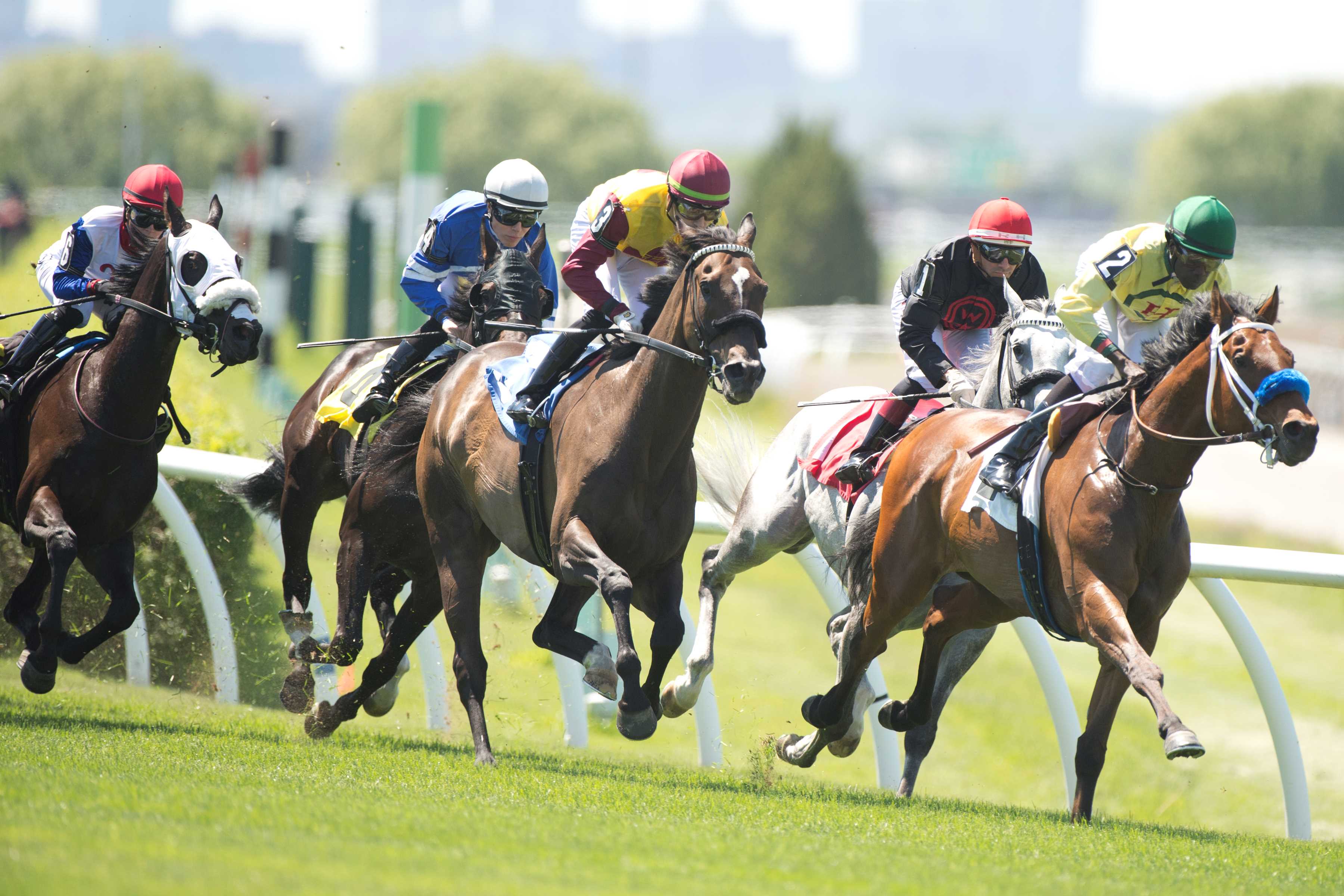 Global Summit on Equine Safety and Technology Highlights Recent Research – Woodbine Racetrack