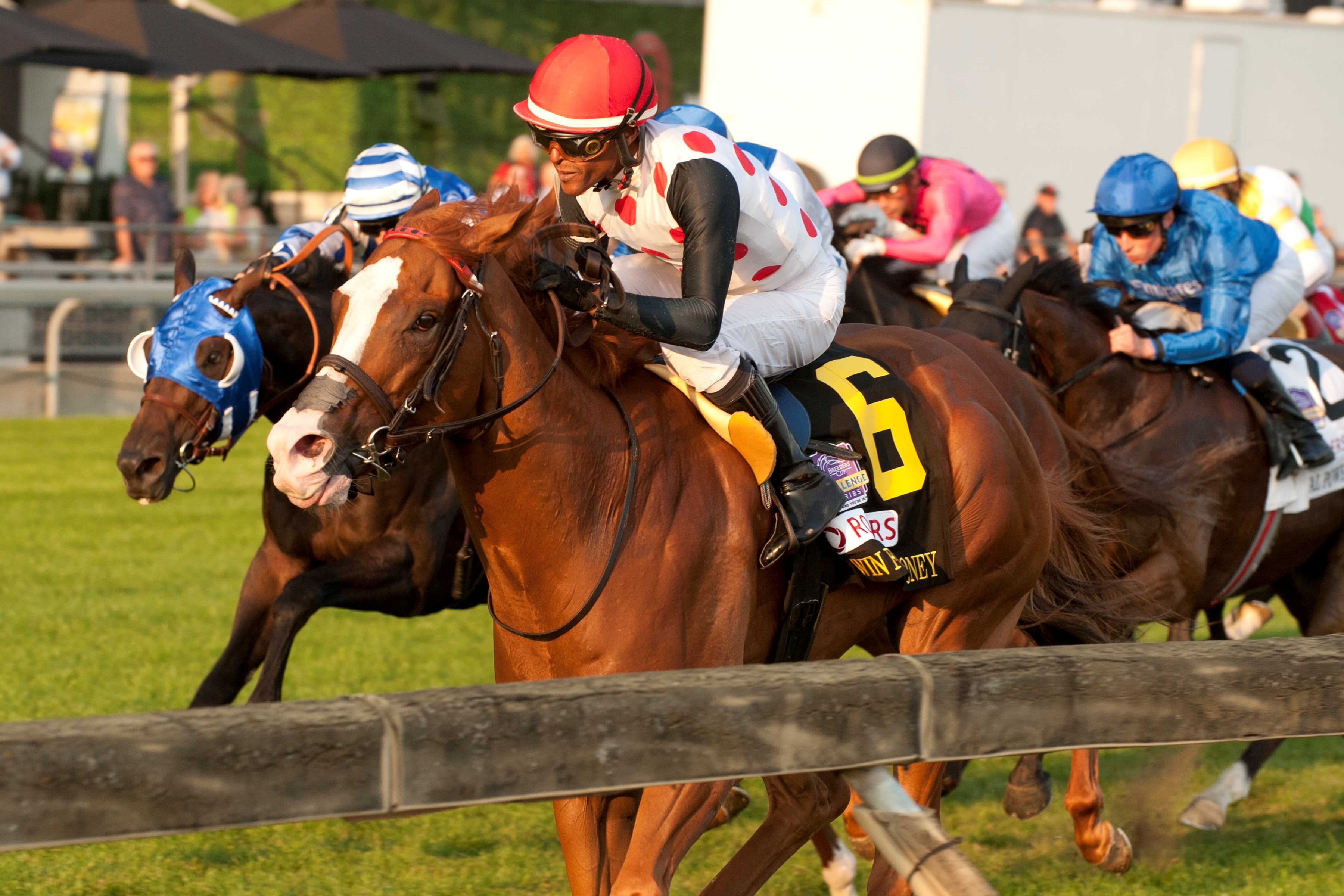 Win for the Money and jockey Patrick Husbands winning the Rogers Woodbine Mile (G1) on September 14, 2024 at Woodbine (Michael Burns Photo)