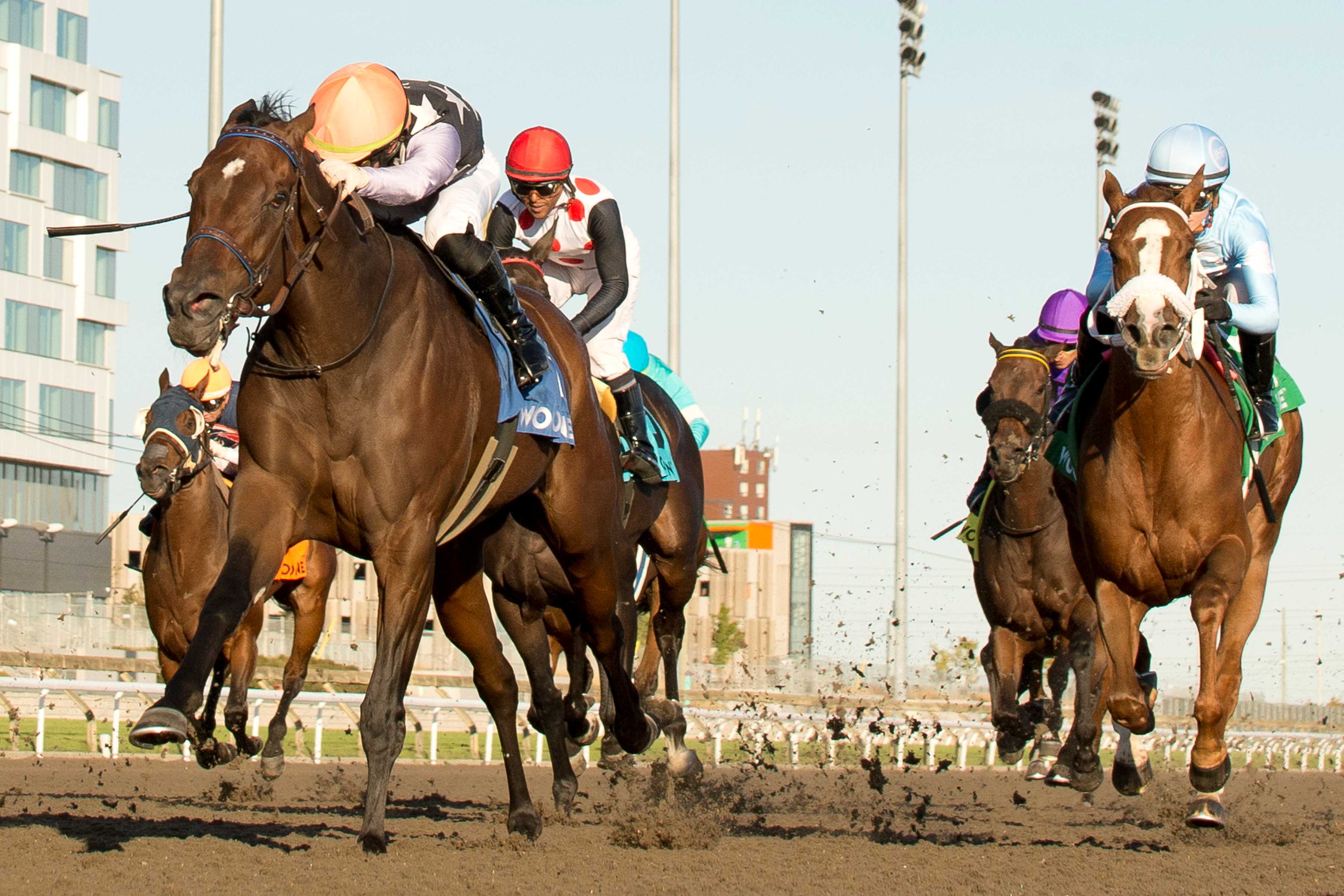 A Game and jockey Fraser Aebly winning the Ontario Fashion Stakes on October 12, 2024 at Woodbine (Michael Burns Photo)