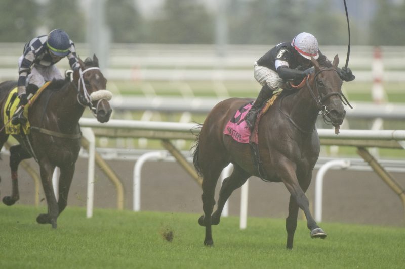 Fev Rover (IRE) and jockey Patrick Husbands winning the Nassau Stakes on July 1, 2023 at Woodbine (Michael Burns Photo)