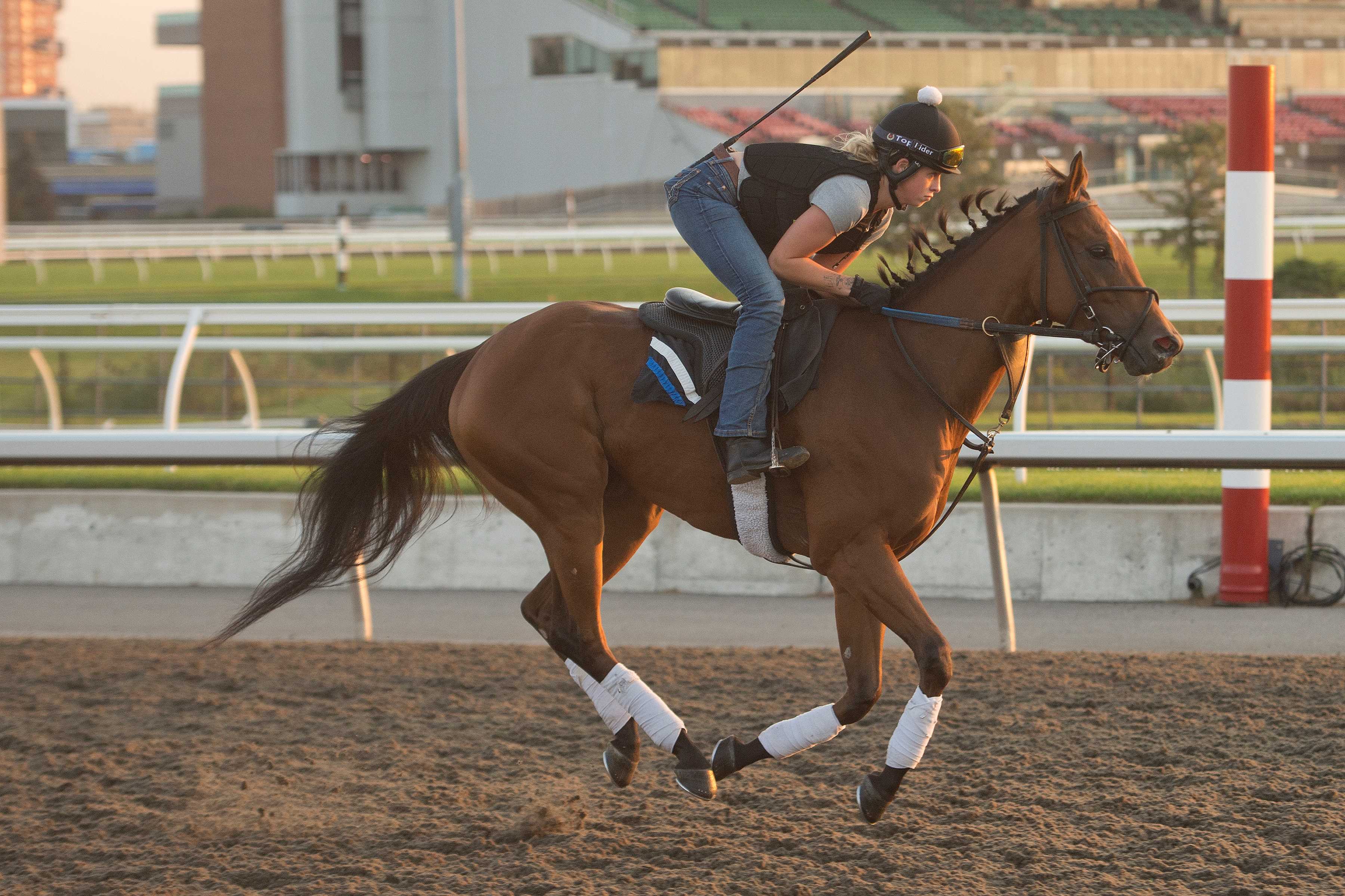 Quality Presence training at Woodbine (Michael Burns Photo)