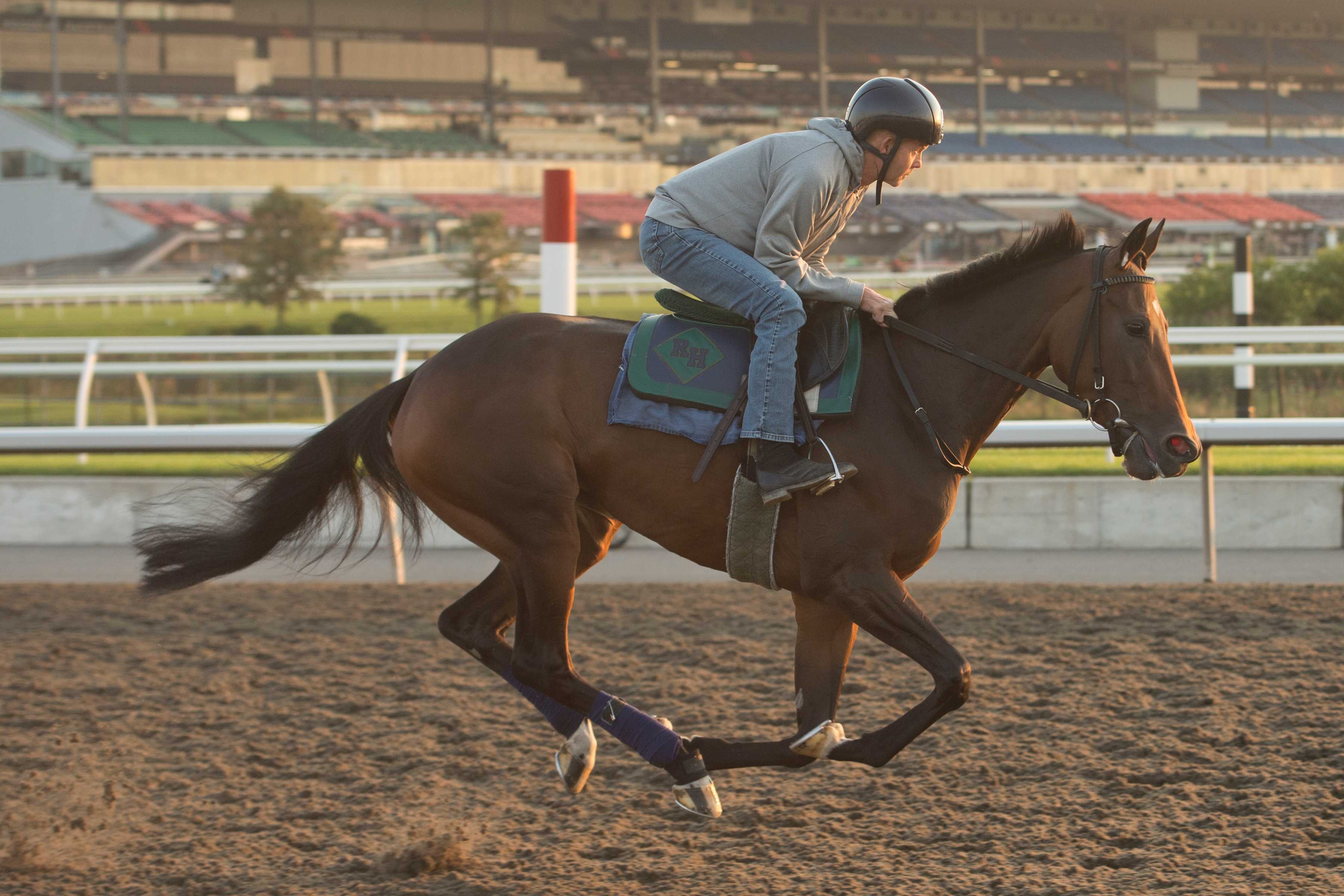 Saccharine training at Woodbine (Michael Burns Photo)