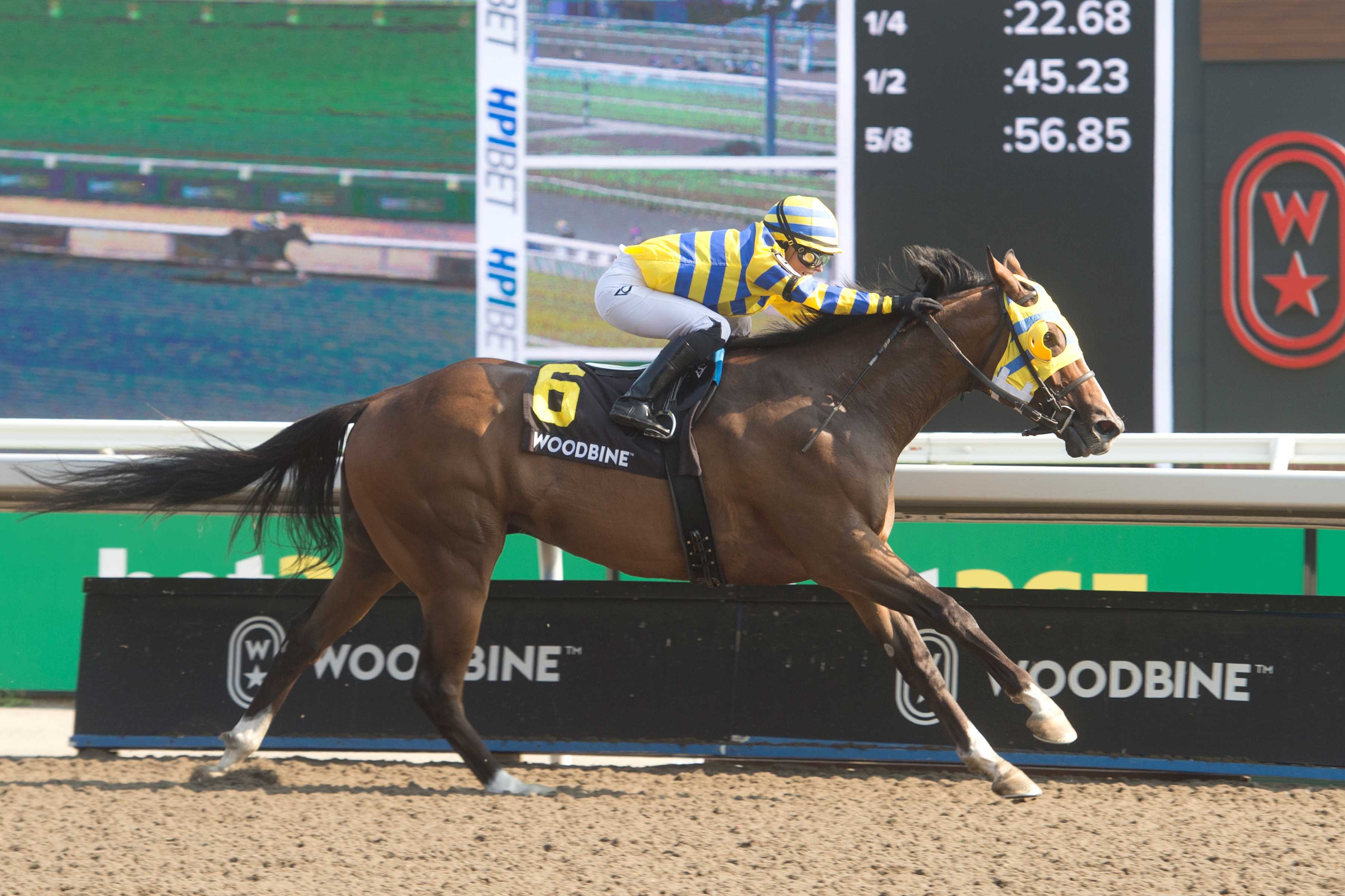 Patches O'Houlihan and jockey Sofia Vives winning the Pink Lloyd Stakes on July 28, 2024 at Woodbine (Michael Burns Photo)