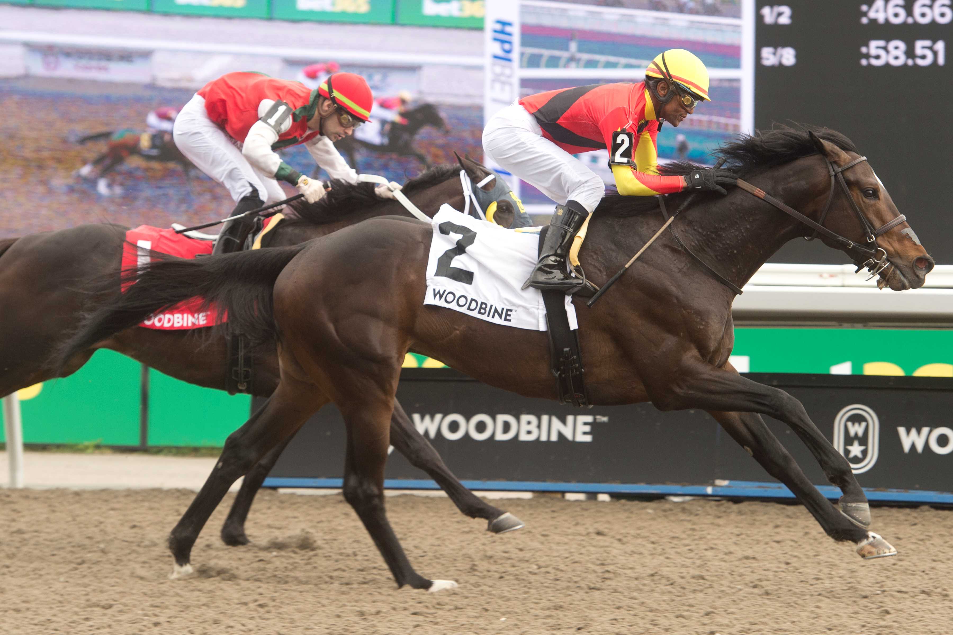 Midnight Mascot and jockey Patrick Husbands winning the Woodstock Stakes on April 28, 2024 at Woodbine (Michael Burns Photo)