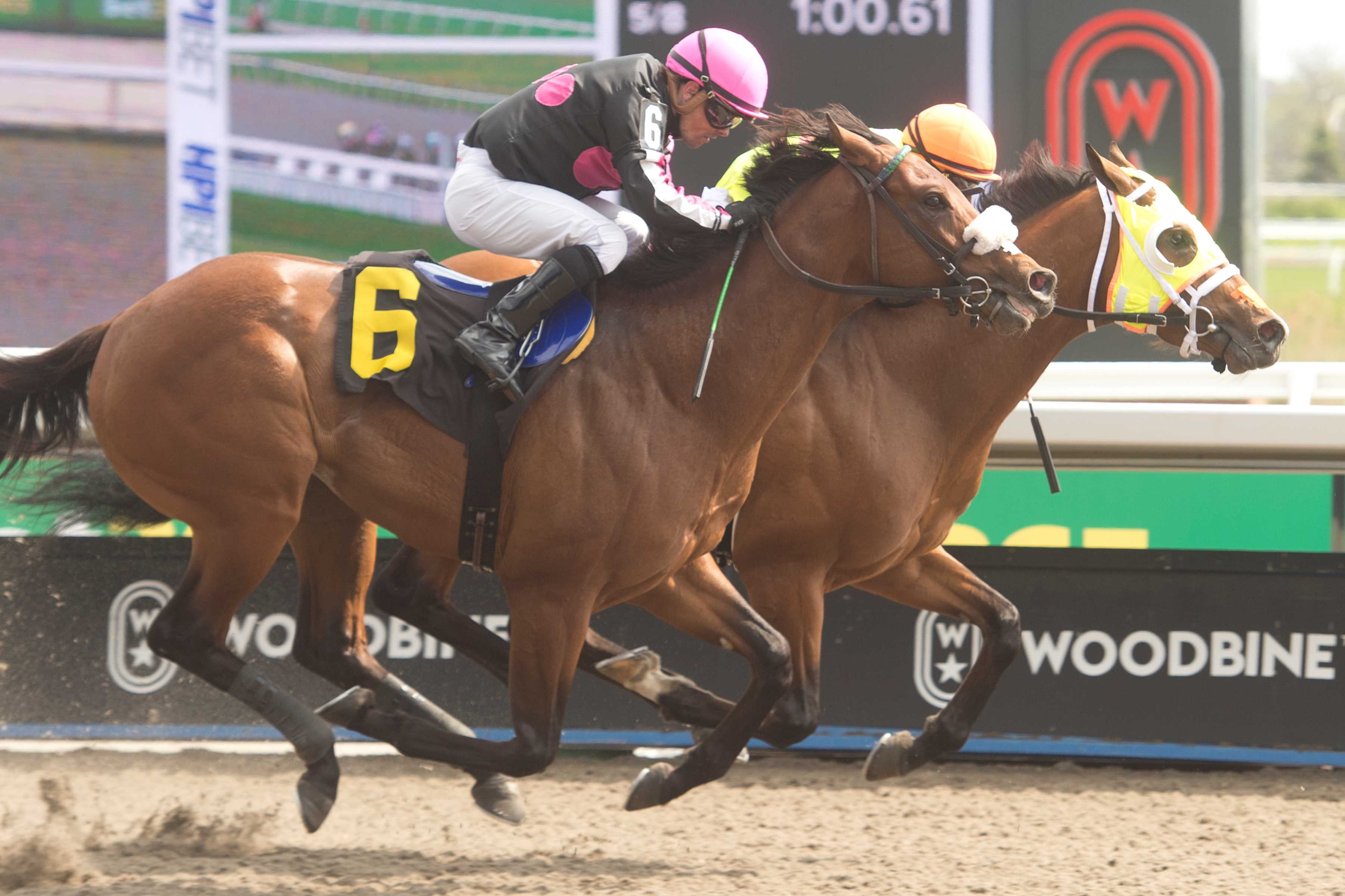 Pierre and jockey Rafael Hernandez winning Race 5 on May 4, 2024 at Woodbine (Michael Burns Photo)