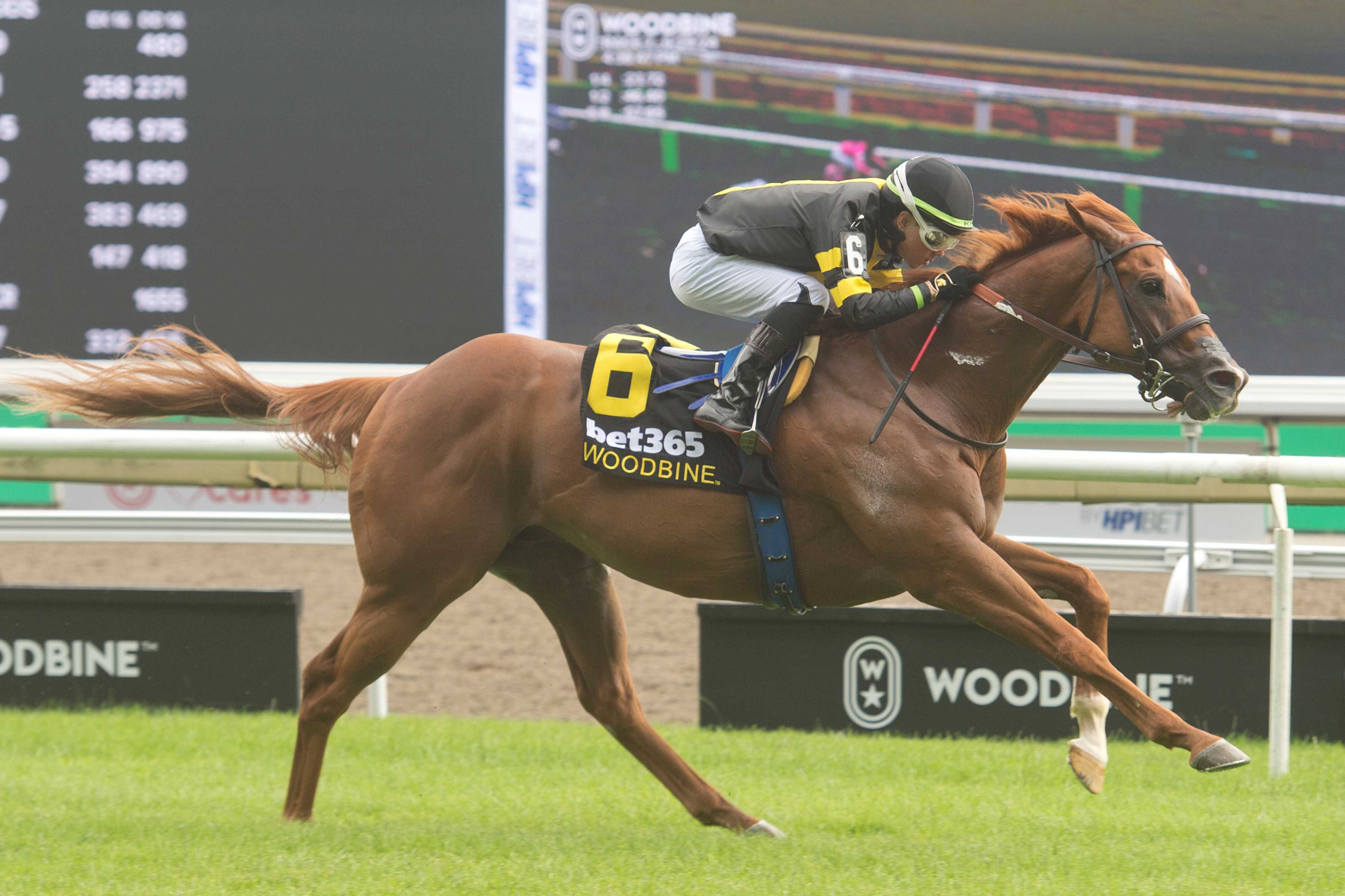 Filo Di Arianna (BRZ) and jockey Kazushi Kimura winning the bet365 Highlander Stakes (G2) on June 29, 2024 at Woodbine (Michael Burns Photo)