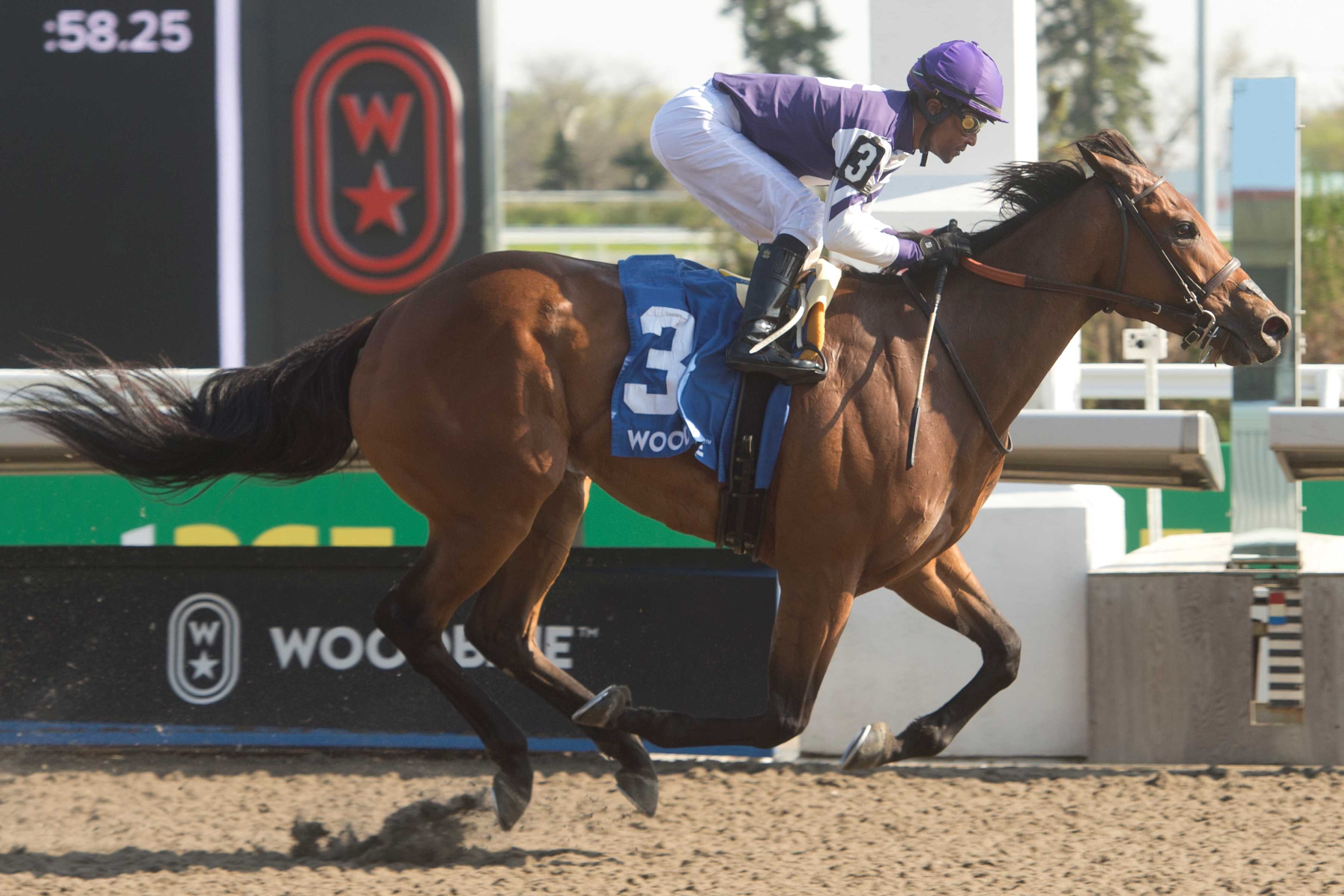 Play the Music and jockey Patrick Husbands winning the Whimsical Stakes on May 4, 2024 at Woodbine (Michael Burns Photo)