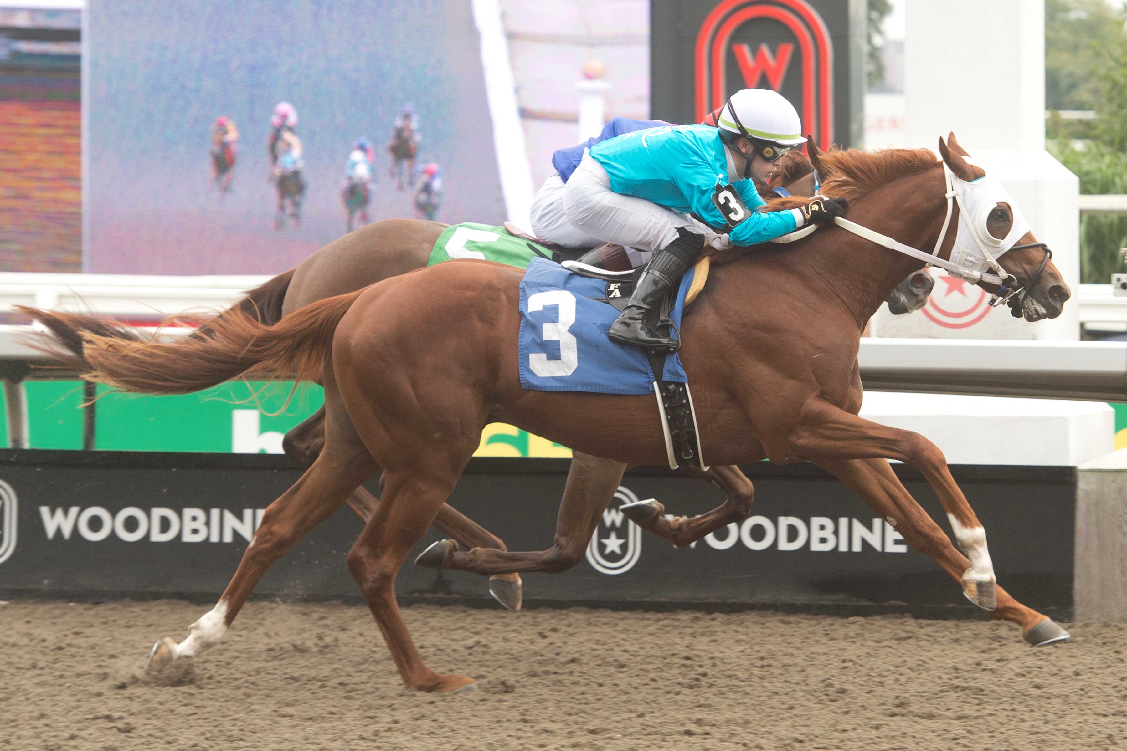 Heard a Ghost and jockey Fraser Aebly winning Race 5 on September 21, 2024 at Woodbine (Michael Burns Photo)