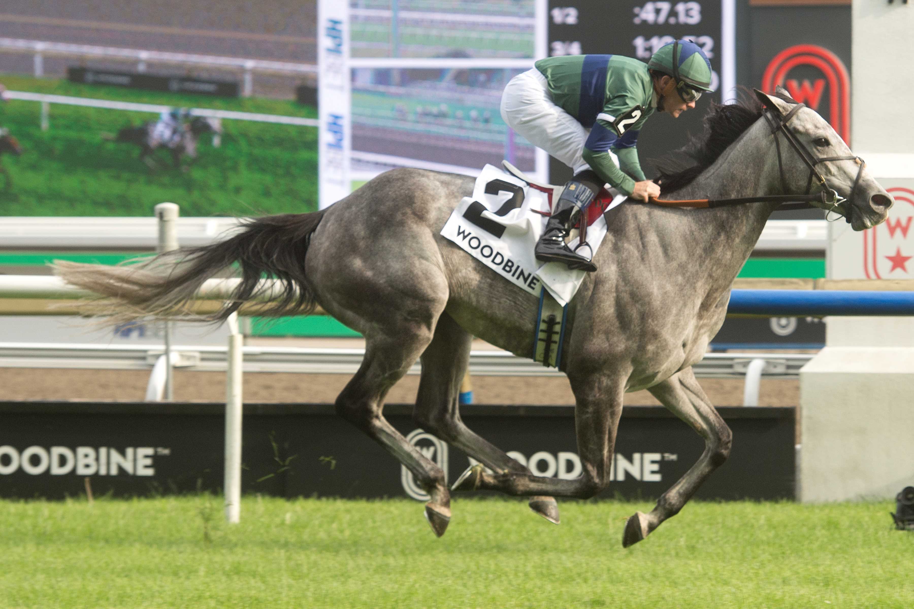 Implicated and Jockey Declan Cannon winning the Nassau Stakes (G2) on June 29, 2024 at Woodbine (Michael Burns Photo)