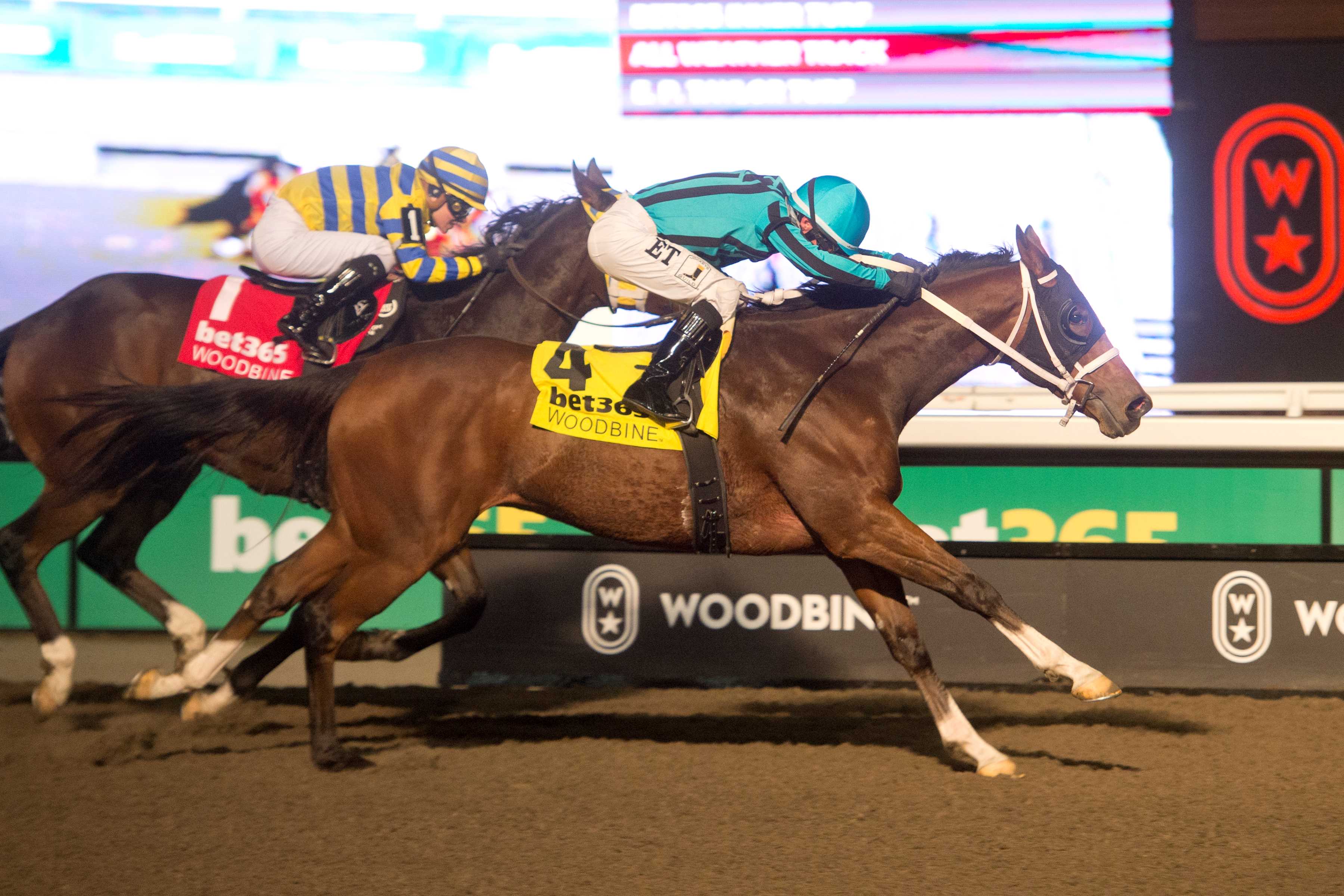 Nobals and jockey Gerardo Corrales winning the Kennedy Road Stakes (G2) on November 16, 2024 at Woodbine (Michael Burns Photo)